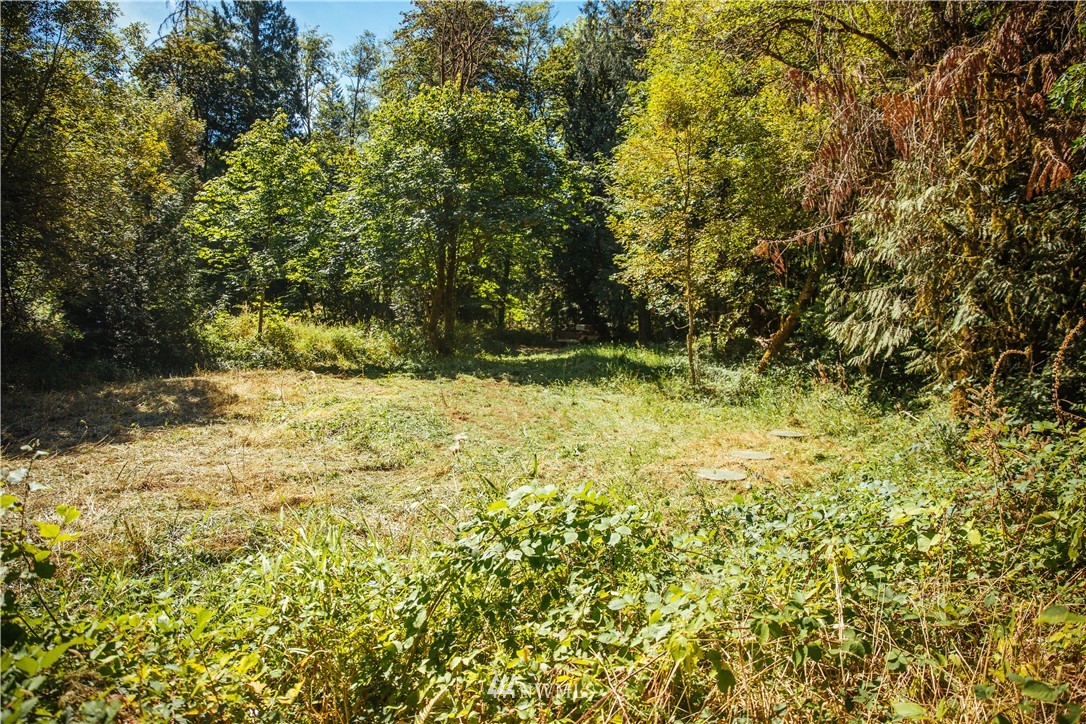 469 Drews Prairie Road Toledo, WA 98591 - Photo 24 of 30