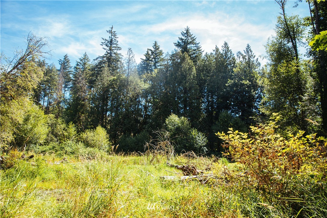 469 Drews Prairie Road Toledo, WA 98591 - Photo 25 of 30