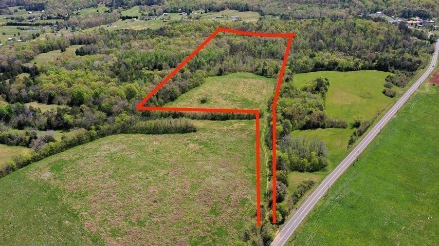 a view of outdoor space and garden