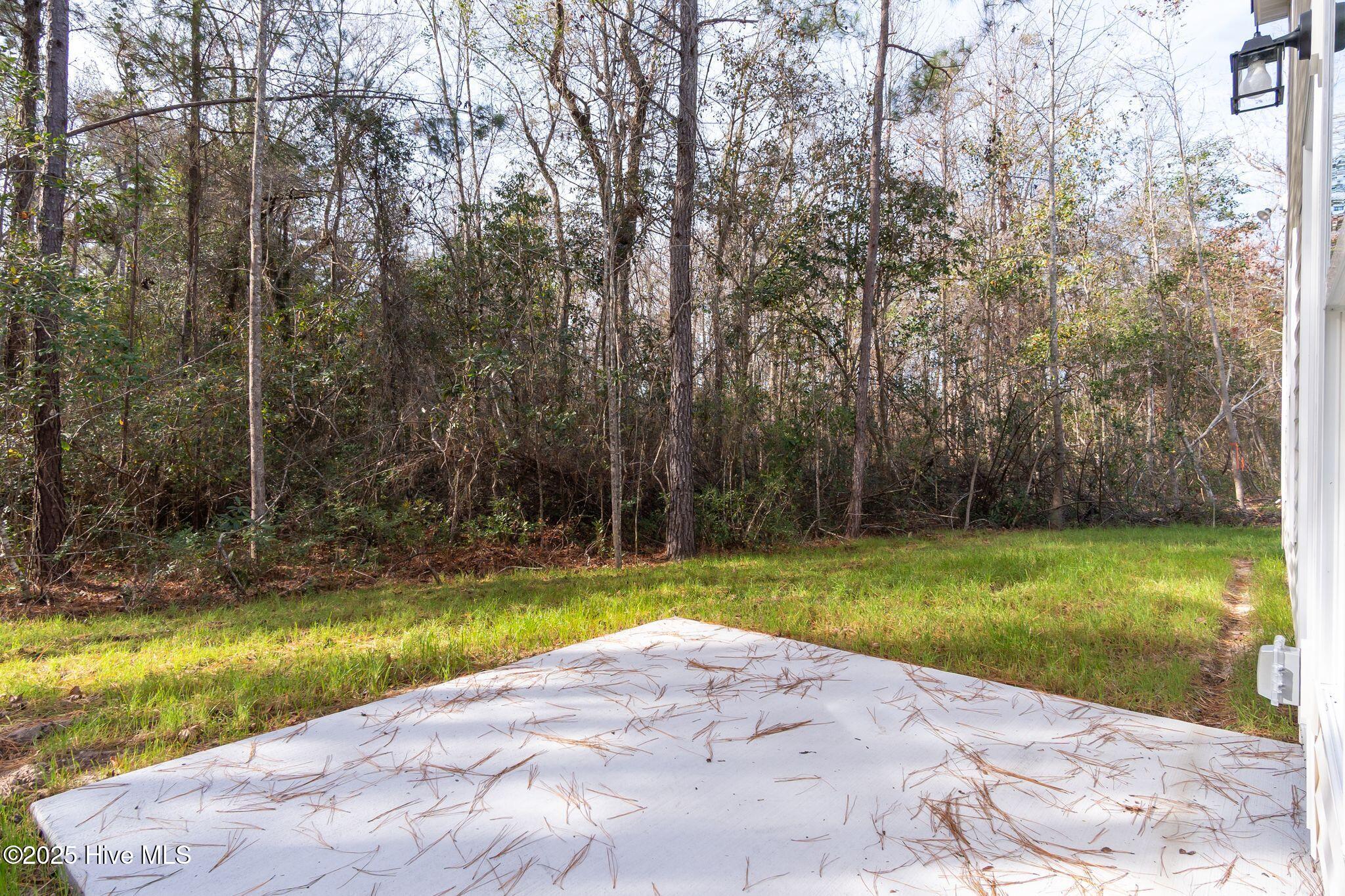 211 Brighttown Road Maysville, NC 28555 - Photo 40 of 41 Back Yard