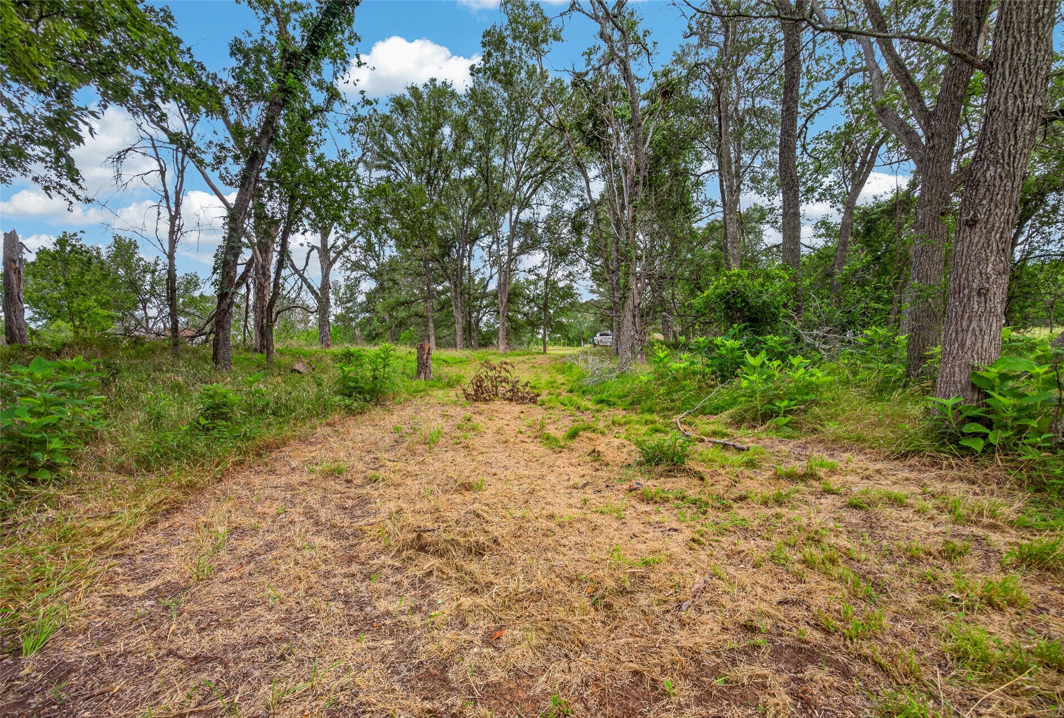 266 Beaver Road Elgin, TX 78621 - Photo 32 of 40 Open, cleared space ready for a cabin, tiny home, RV setup, or future expansion.
Versatile cleared area offering excellent potential for a cabin, tiny home, RV pad, or other improvements.