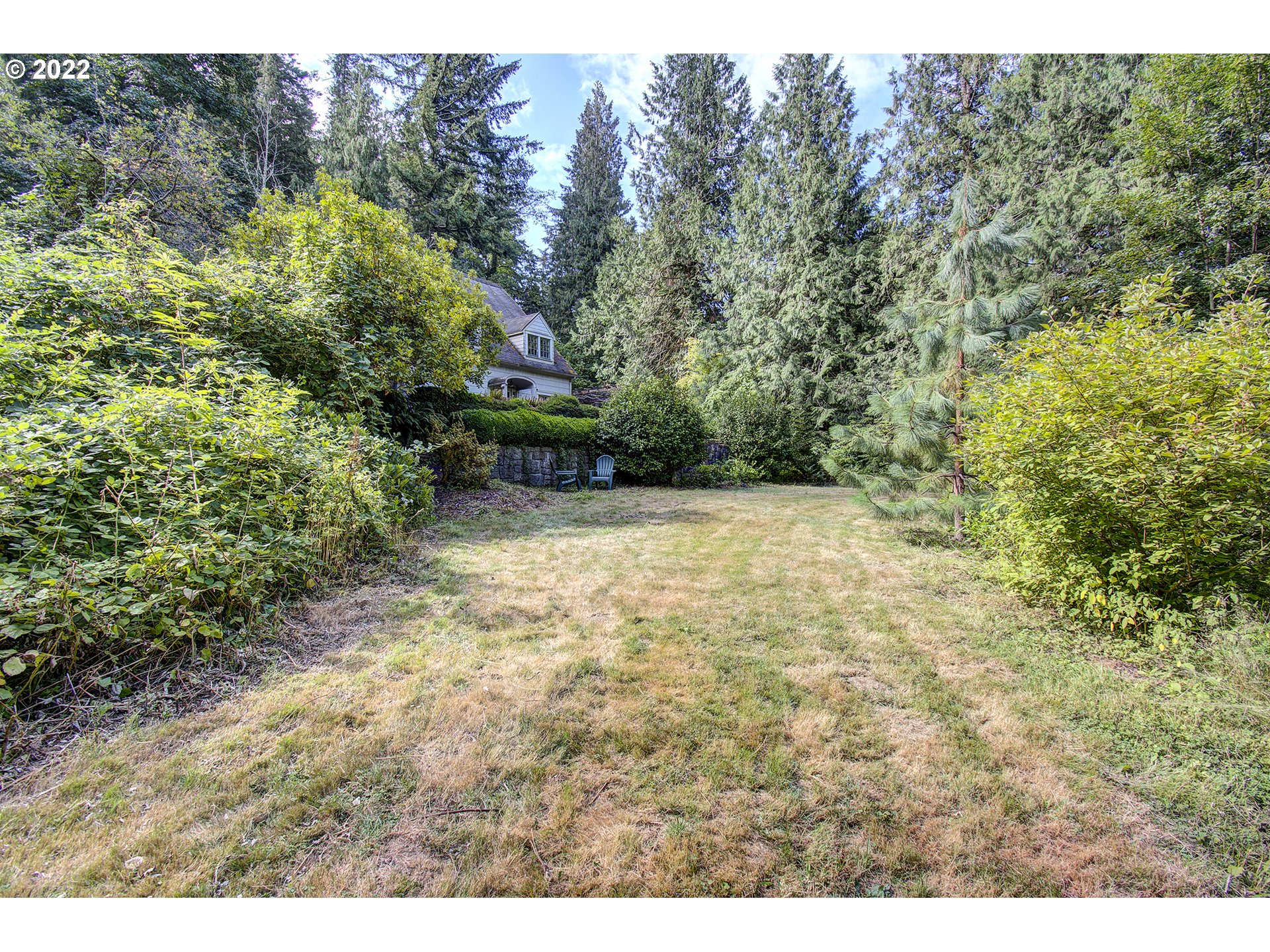 1110 Southeast Littlepage Road Corbett, OR 97019 - Photo 4 of 31 a view of a yard with trees in front of it