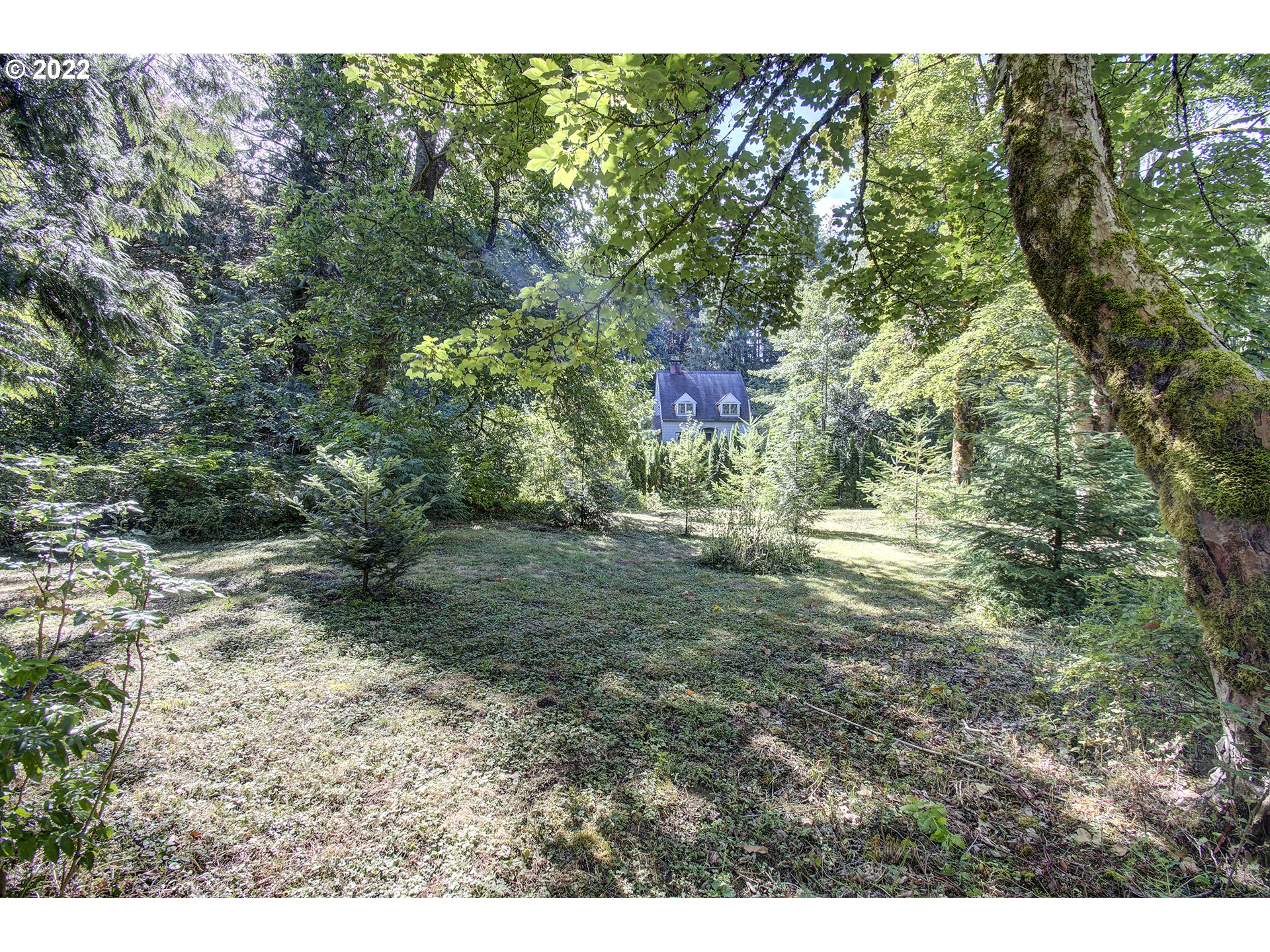 1110 Southeast Littlepage Road Corbett, OR 97019 - Photo 6 of 31 a view of outdoor space and trees