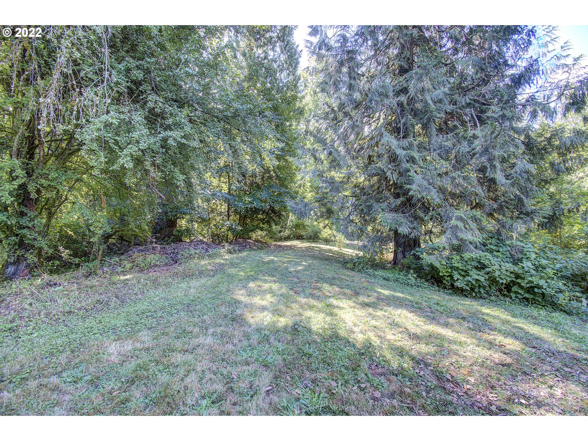 1110 Southeast Littlepage Road Corbett, OR 97019 - Photo 7 of 31 a view of a yard with a tree