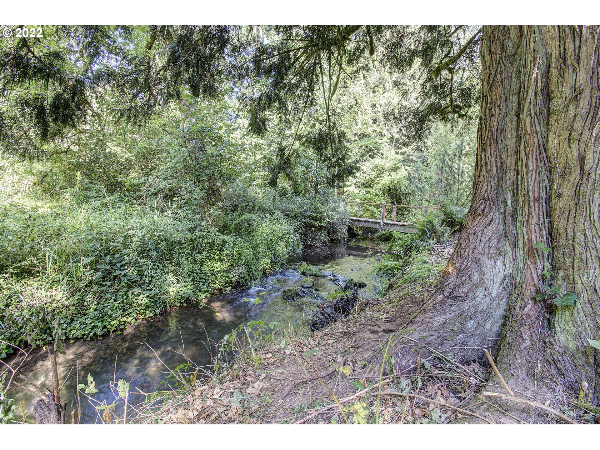 1110 Southeast Littlepage Road Corbett, OR 97019 - Photo 10 of 31 a view of a yard with plants and a bench