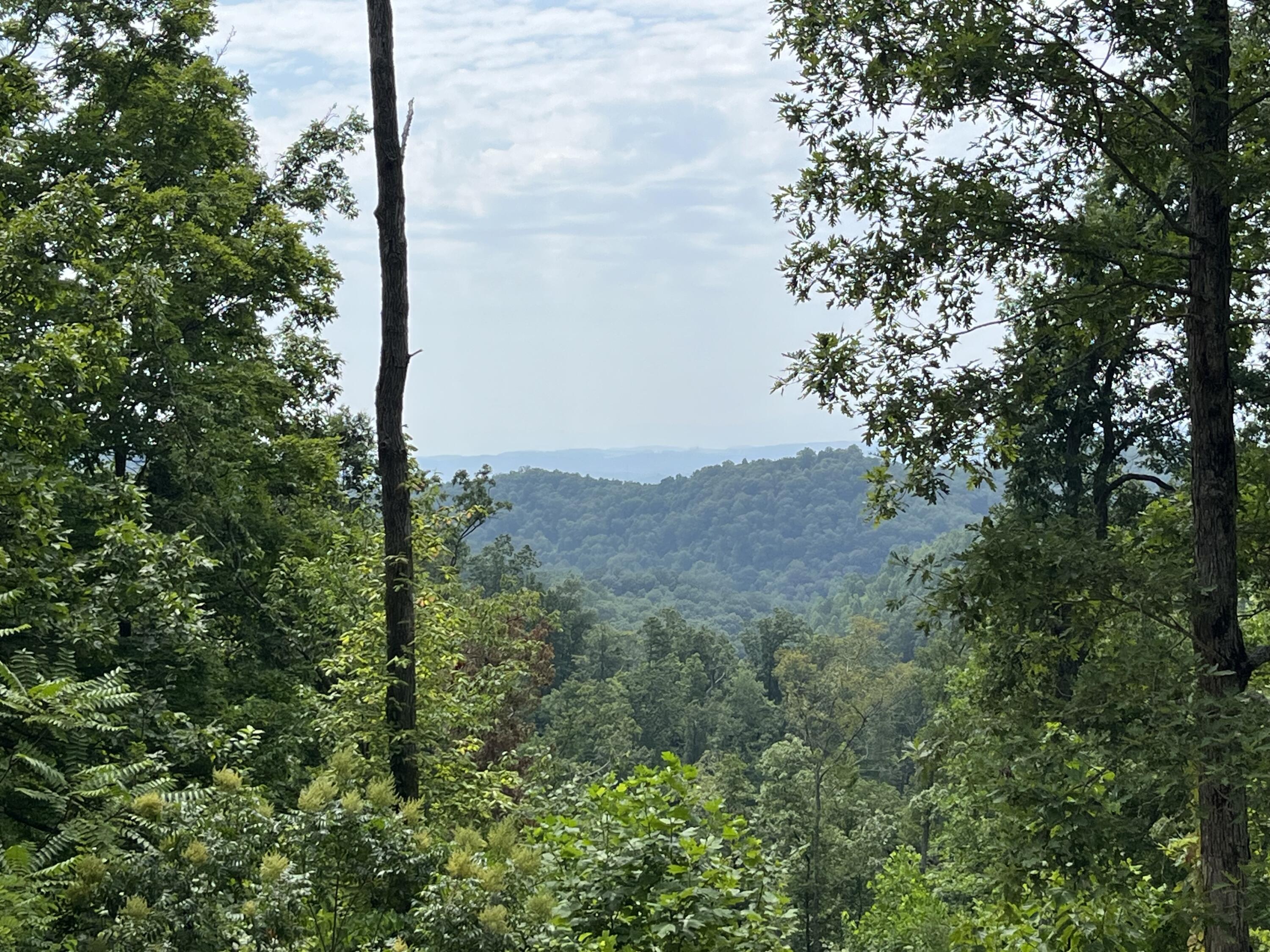 Off Van Hill Road Greeneville, TN 37745 - Photo 1 of 32 IMG_4343
