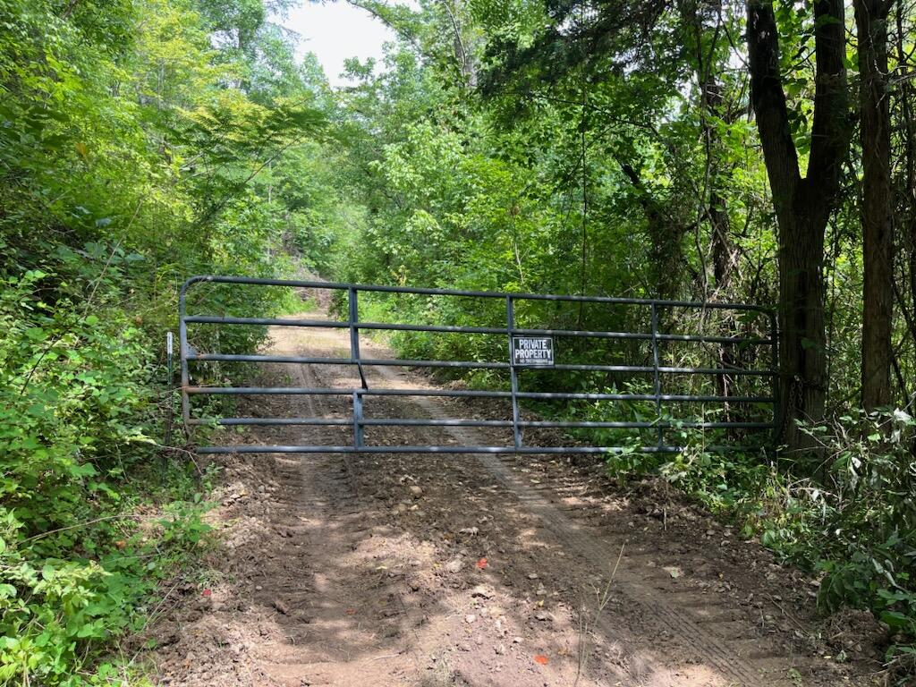 Off Van Hill Road Greeneville, TN 37745 - Photo 15 of 32 IMG_4354
