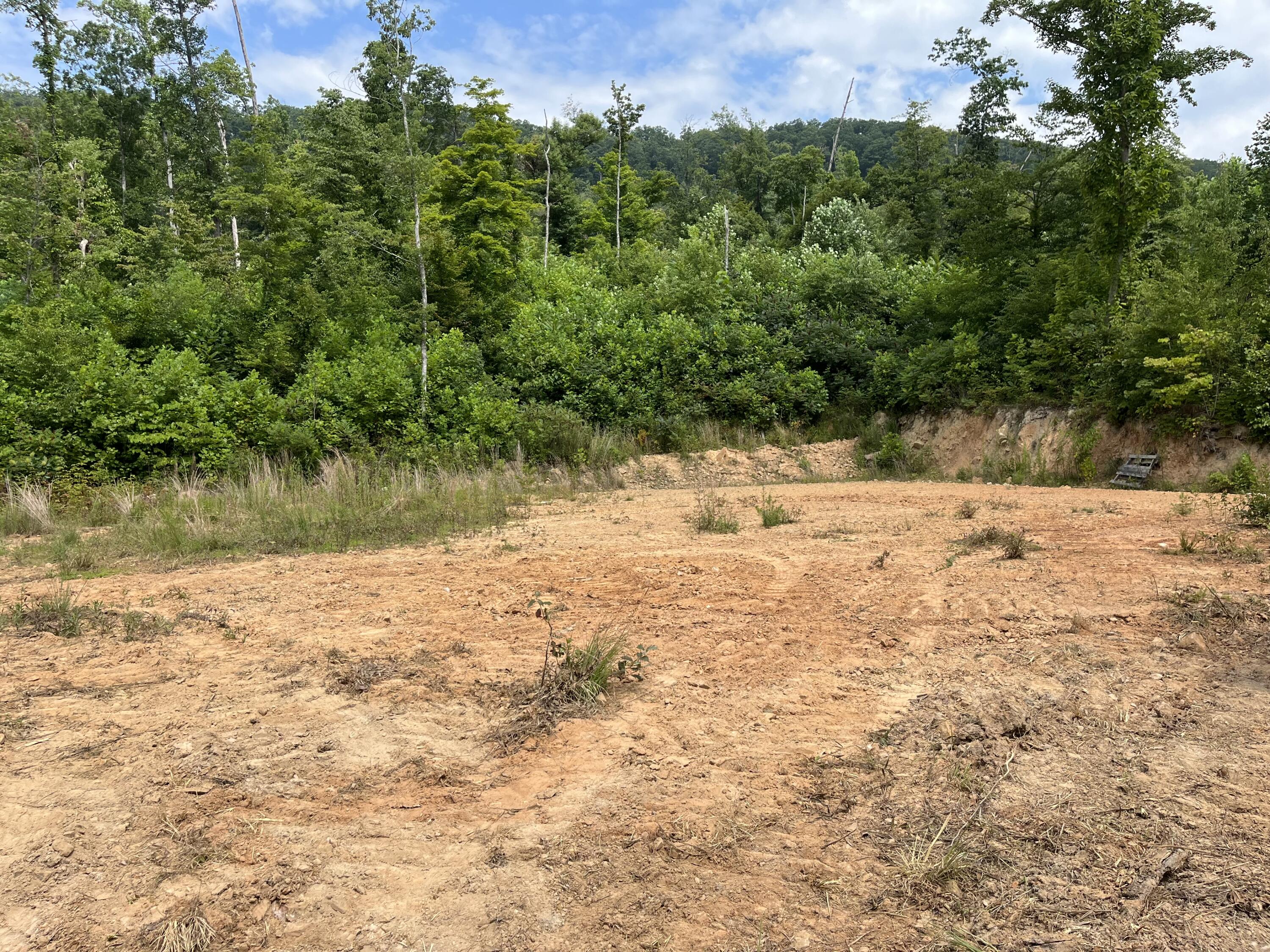 Off Van Hill Road Greeneville, TN 37745 - Photo 19 of 32 IMG_4322