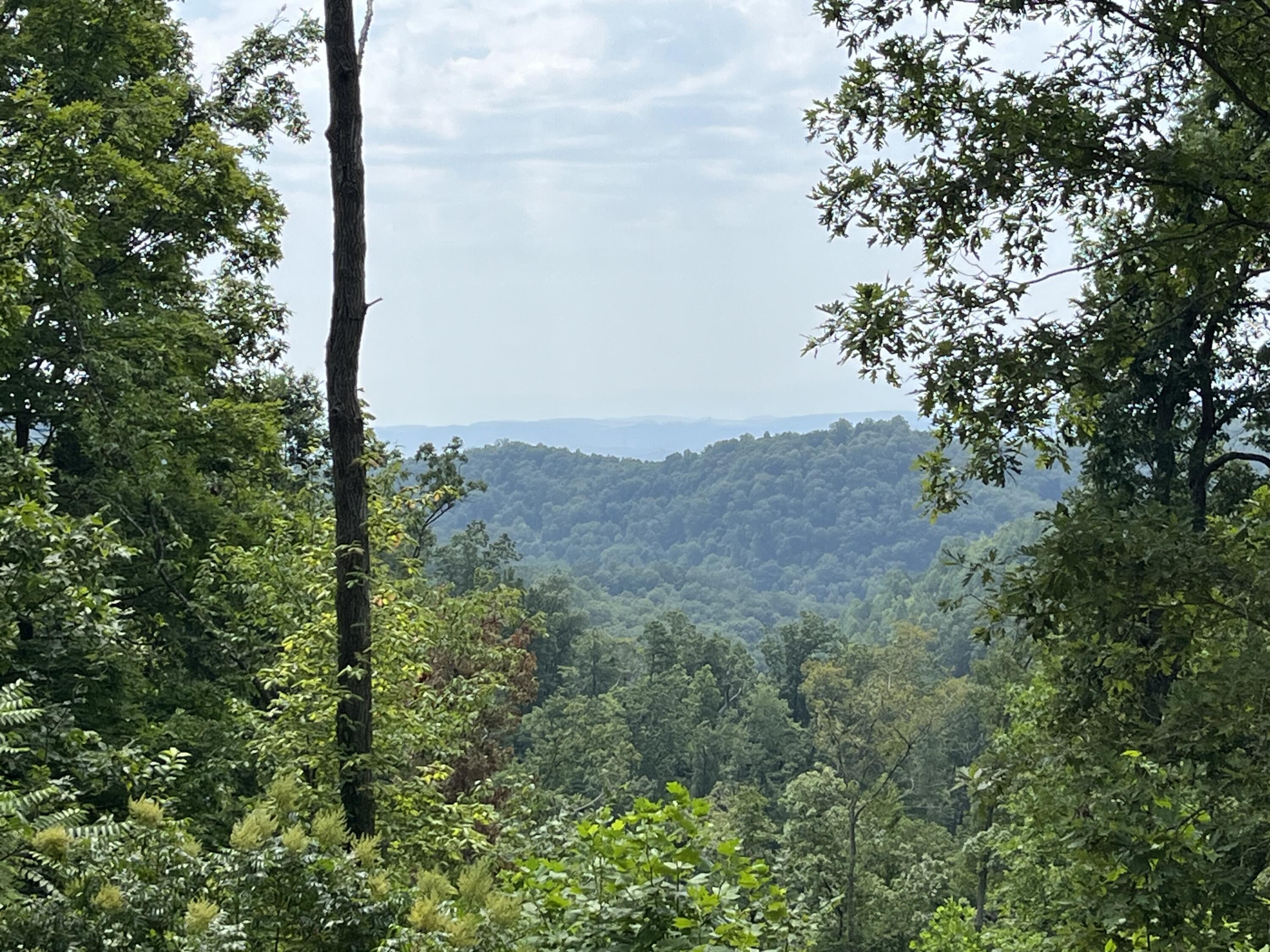 Off Van Hill Road Greeneville, TN 37745 - Photo 2 of 32 IMG_4344
