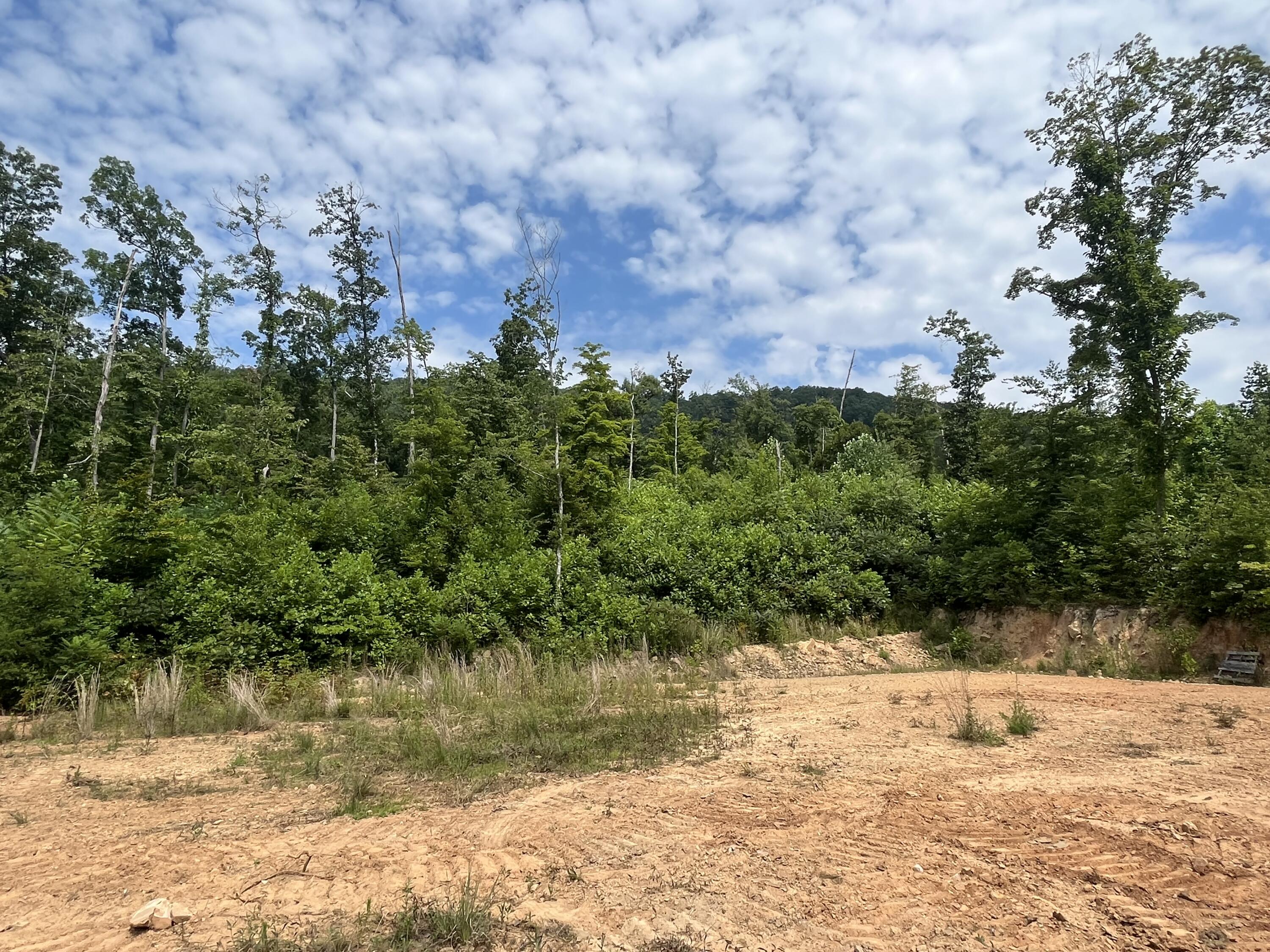 Off Van Hill Road Greeneville, TN 37745 - Photo 22 of 32 IMG_4329