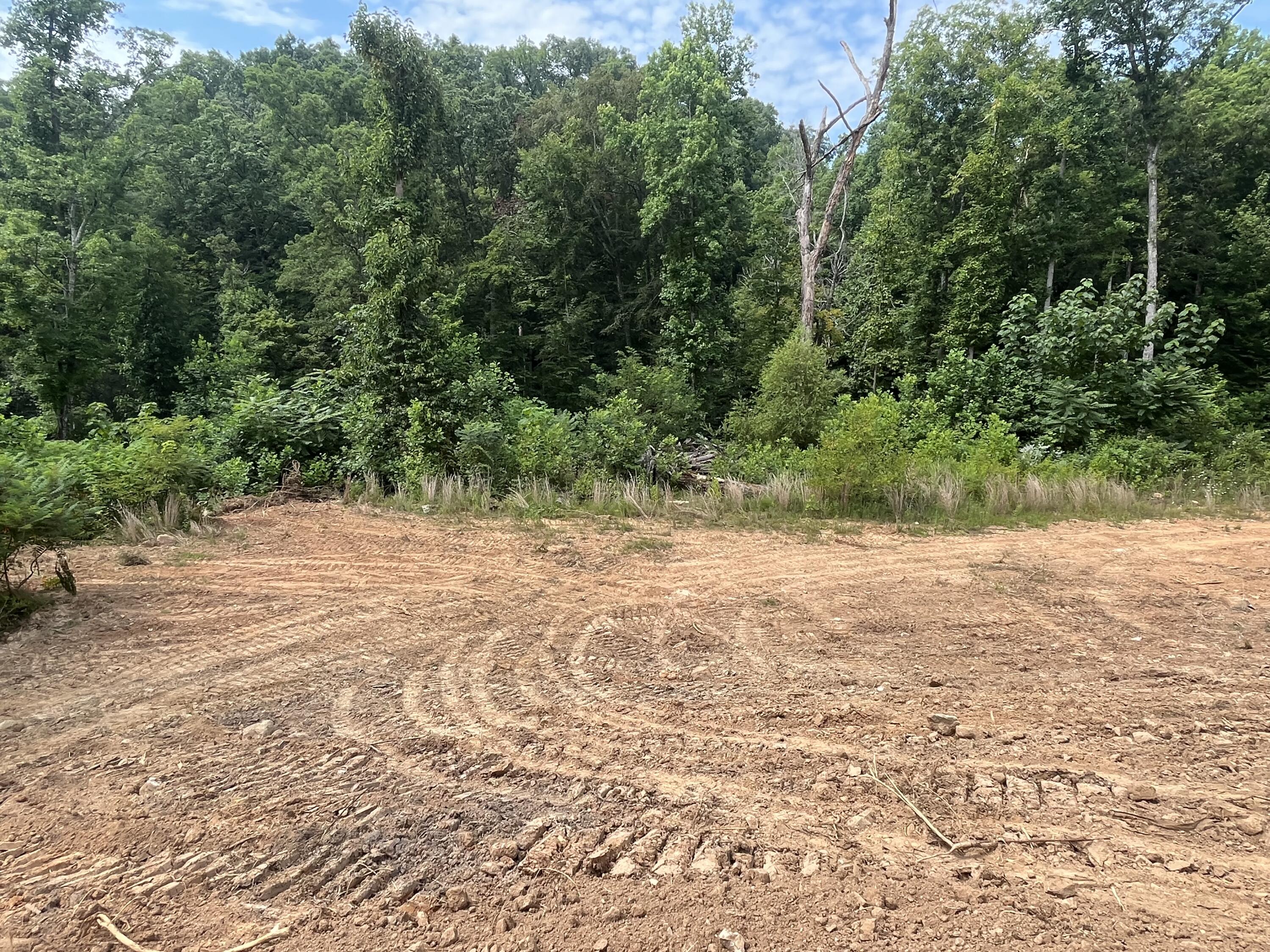 Off Van Hill Road Greeneville, TN 37745 - Photo 25 of 32 IMG_4327