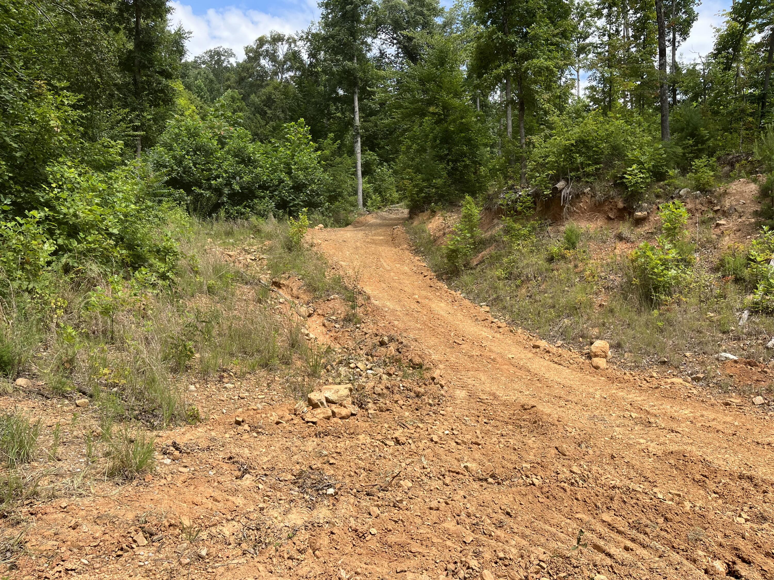 Off Van Hill Road Greeneville, TN 37745 - Photo 28 of 32 IMG_4347