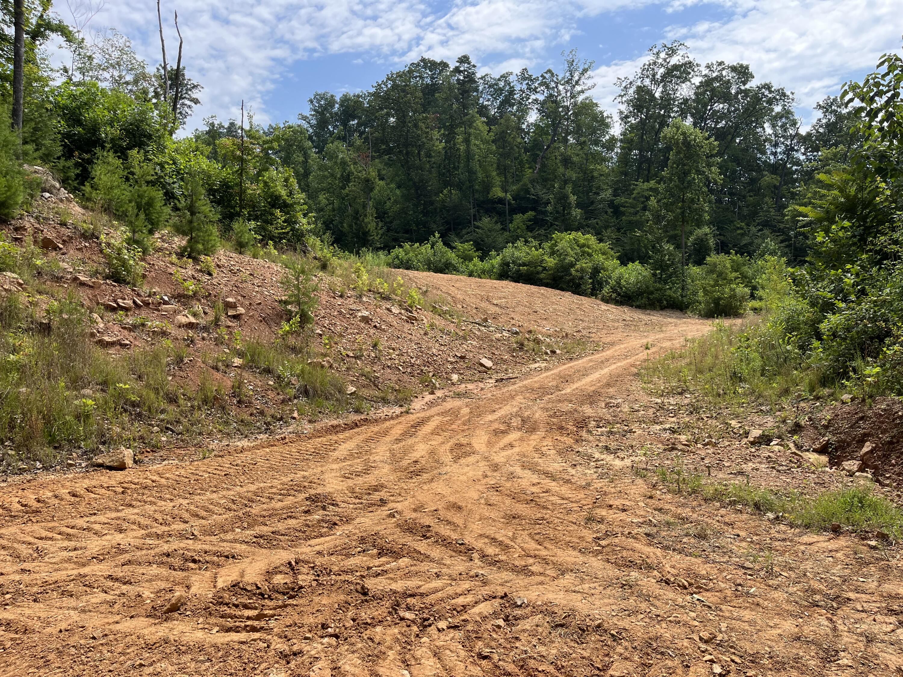 Off Van Hill Road Greeneville, TN 37745 - Photo 29 of 32 IMG_4348