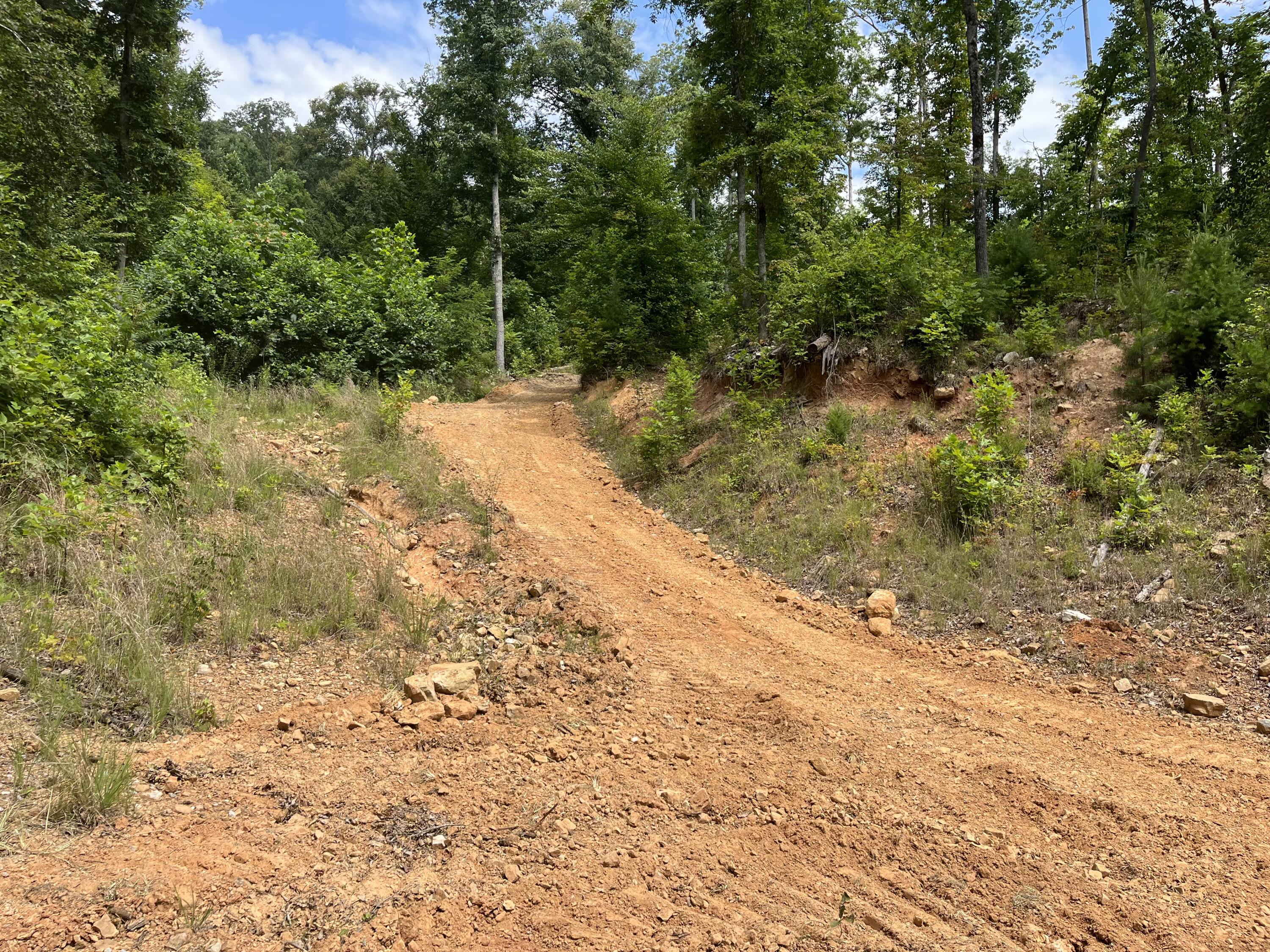 Off Van Hill Road Greeneville, TN 37745 - Photo 30 of 32 IMG_4349
