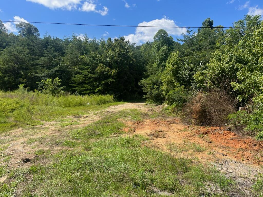 Off Van Hill Road Greeneville, TN 37745 - Photo 31 of 32 IMG_4804