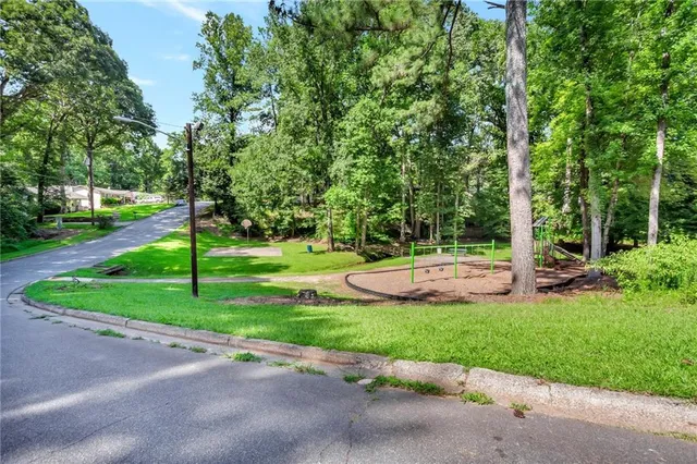 a view of a patio with a big yard potted plants and large tree