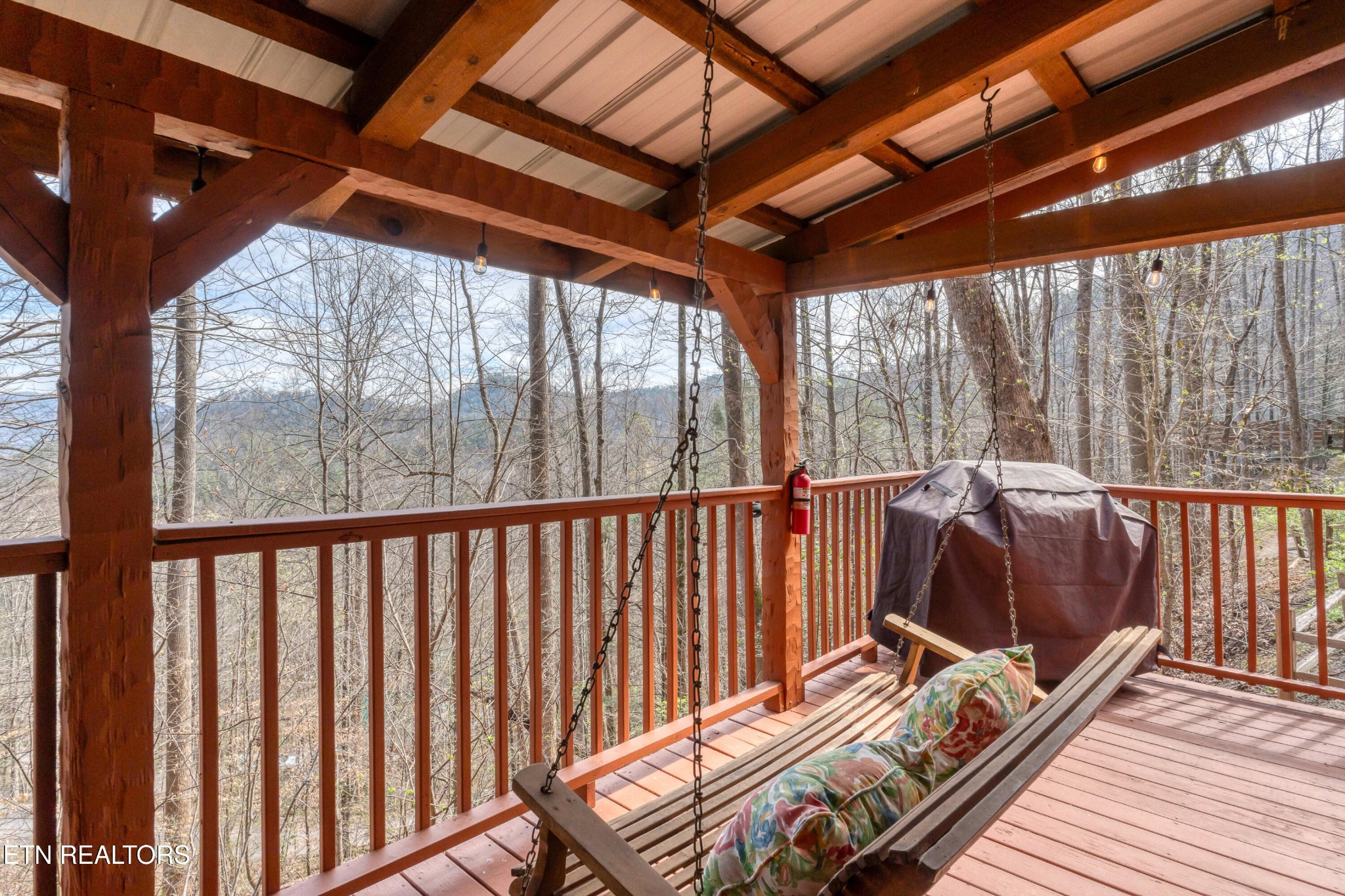 151 Timberwinds Way Townsend, TN 37882 - Photo 6 of 33 Gallery Image 6