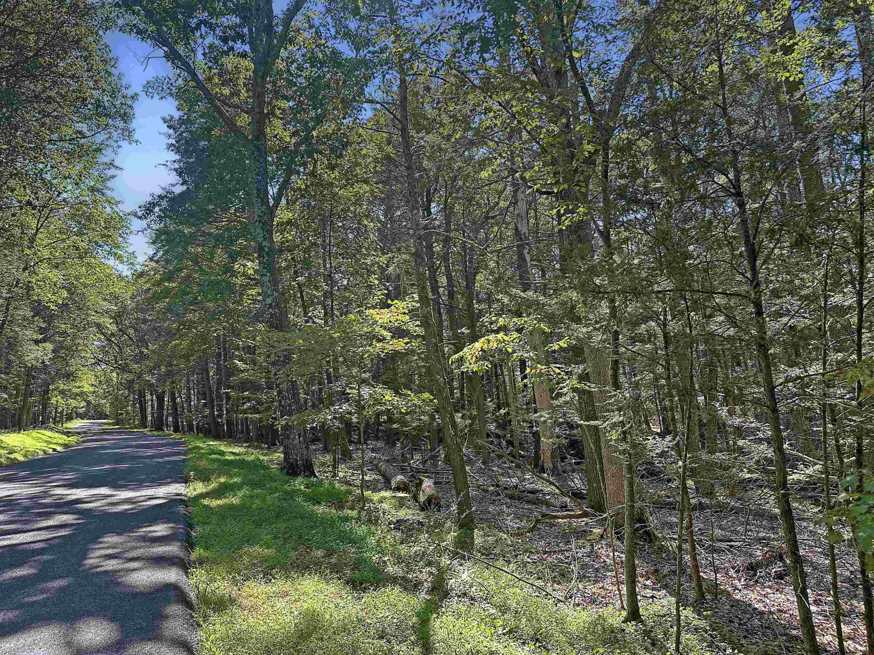 Tbd Van Buskirk Road Saugerties, NY 12477 - Photo 11 of 11 Photo 11