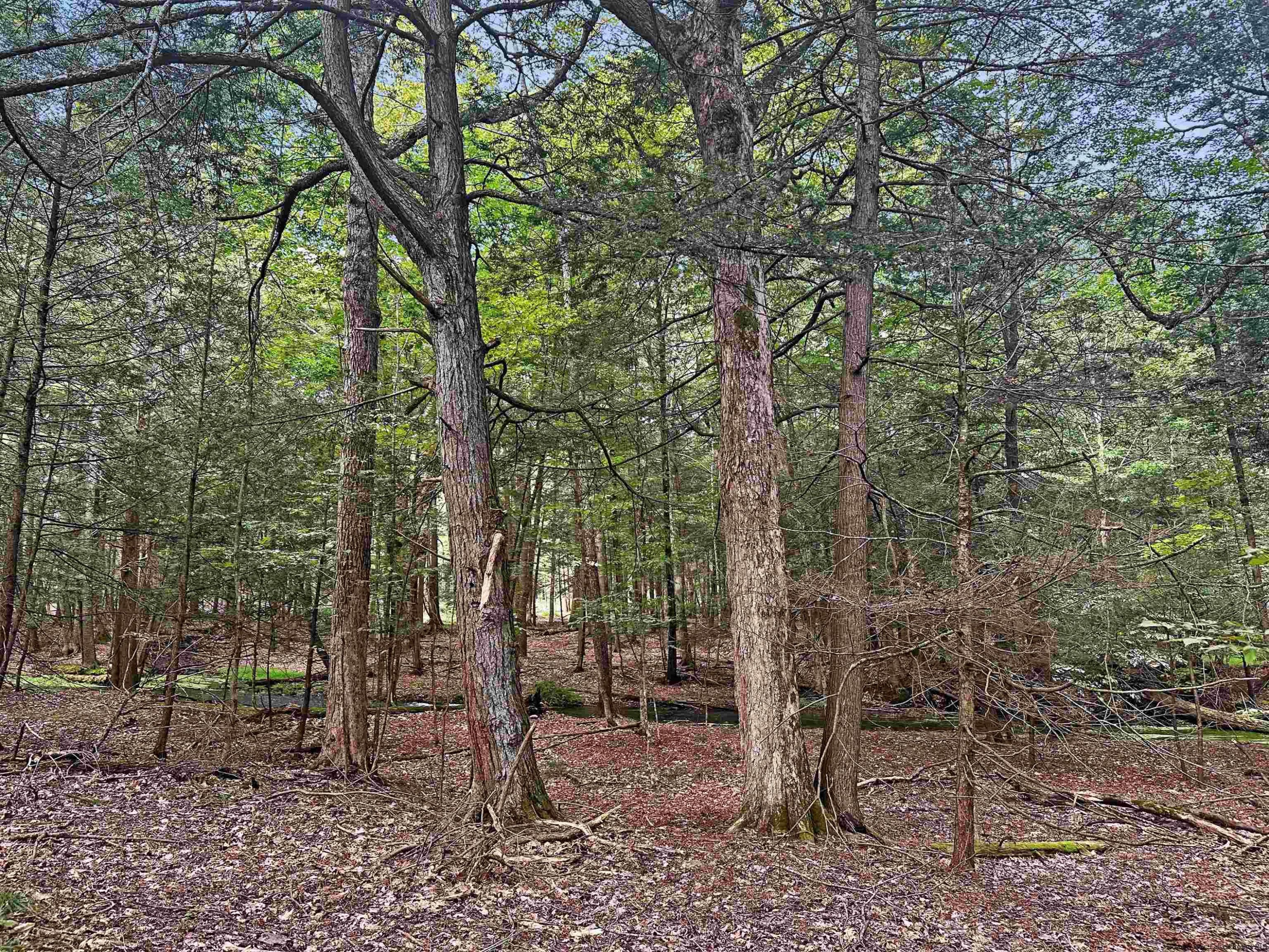 Tbd Van Buskirk Road Saugerties, NY 12477 - Photo 2 of 11 Photo 2