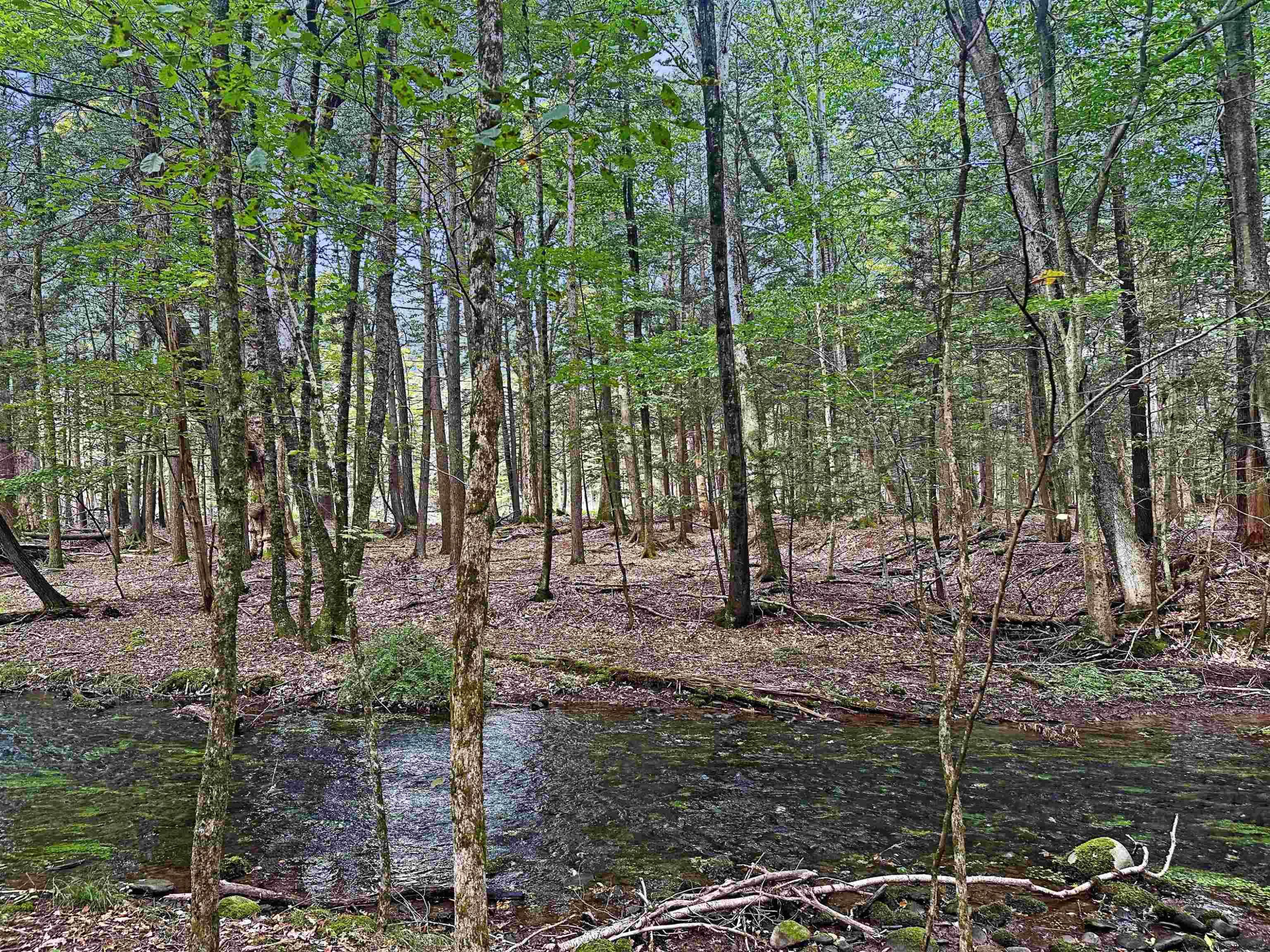 Tbd Van Buskirk Road Saugerties, NY 12477 - Photo 3 of 11 Photo 3