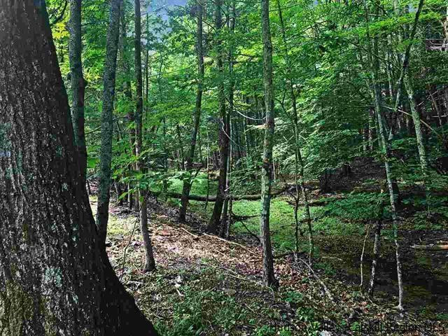 Tbd Van Buskirk Road Saugerties, NY 12477 - Photo 4 of 11 Photo 4