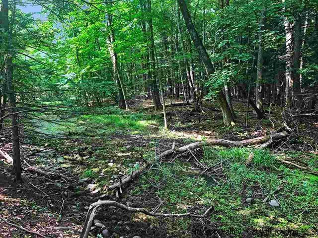 Tbd Van Buskirk Road Saugerties, NY 12477 - Photo 5 of 11 Photo 5