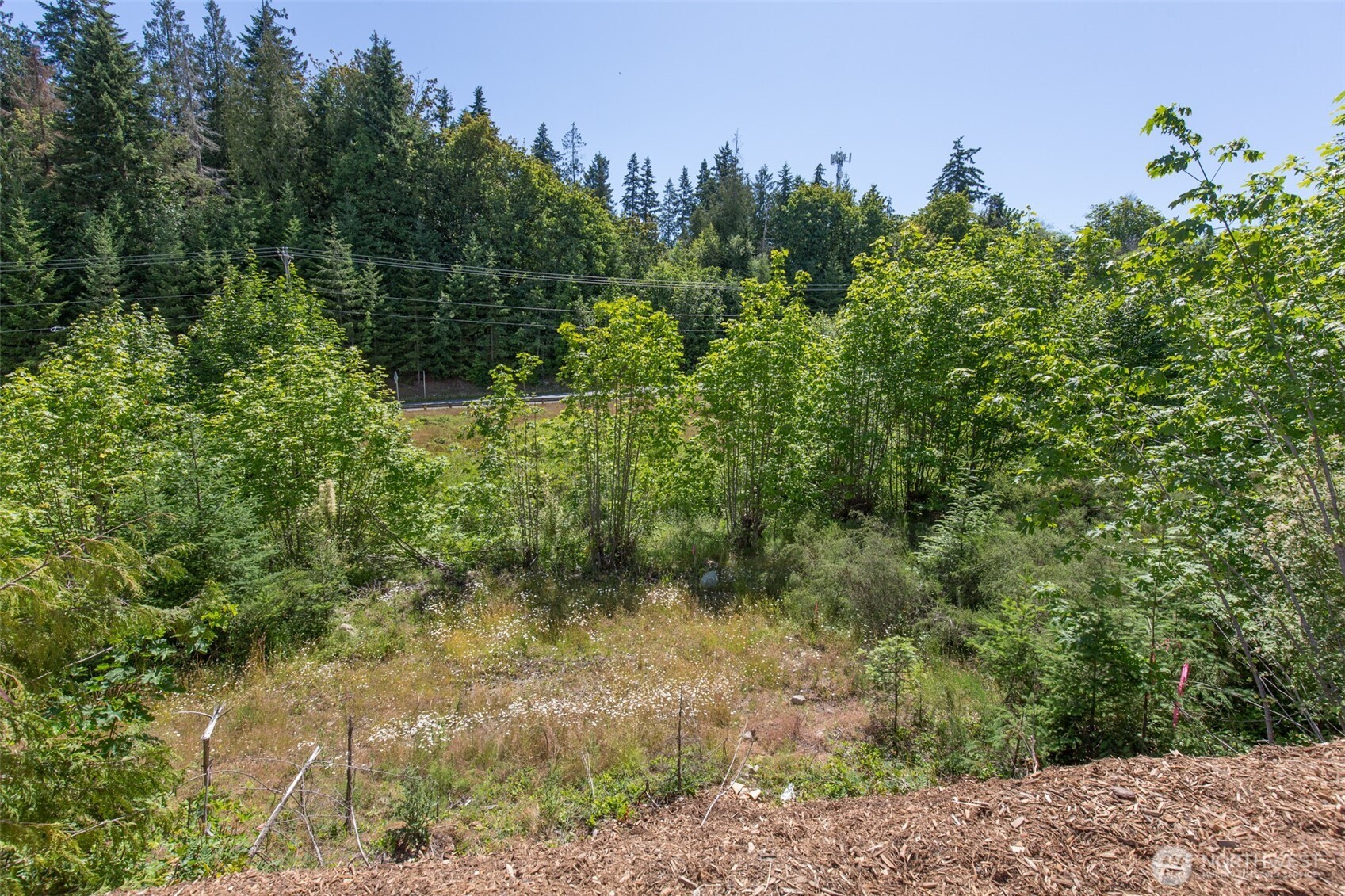 954 Monroe Road Port Angeles, WA 98362 - Photo 36 of 37 Gallery Image 36