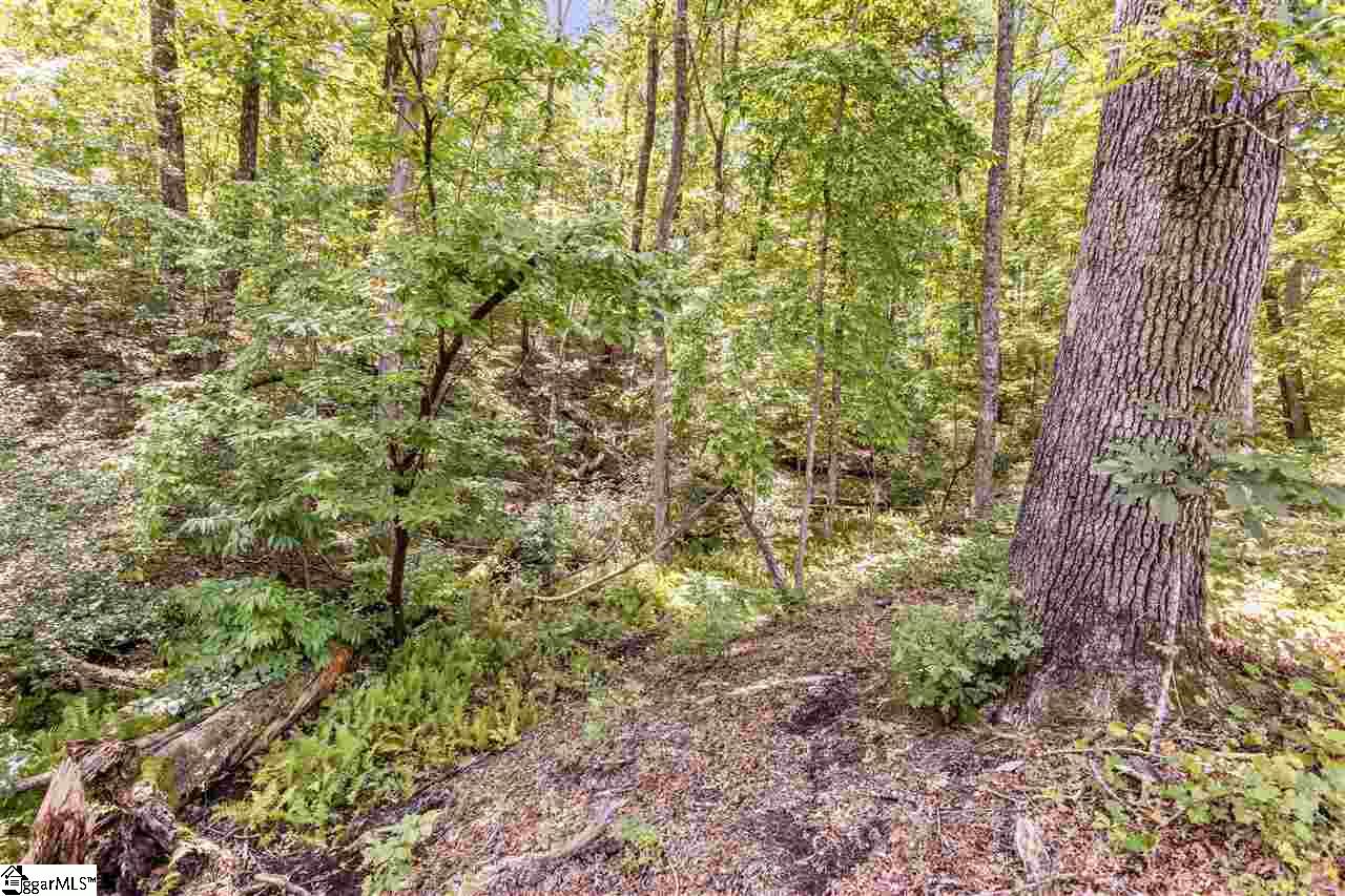 401 Bolding Road Liberty, SC 29657 - Photo 31 of 32