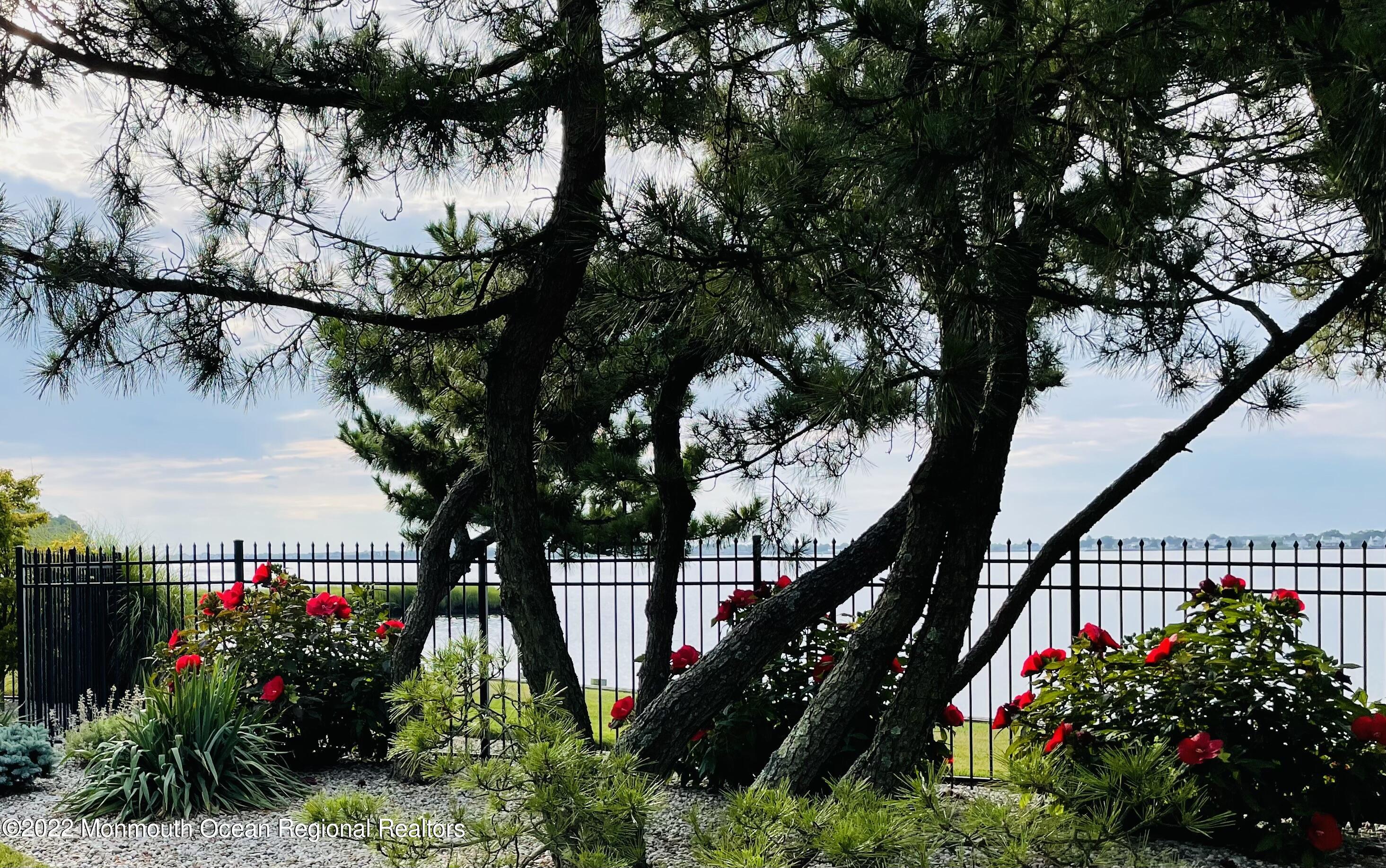 17 Harbor Drive Rumson, NJ 07760 - Photo 12 of 94 red flowers