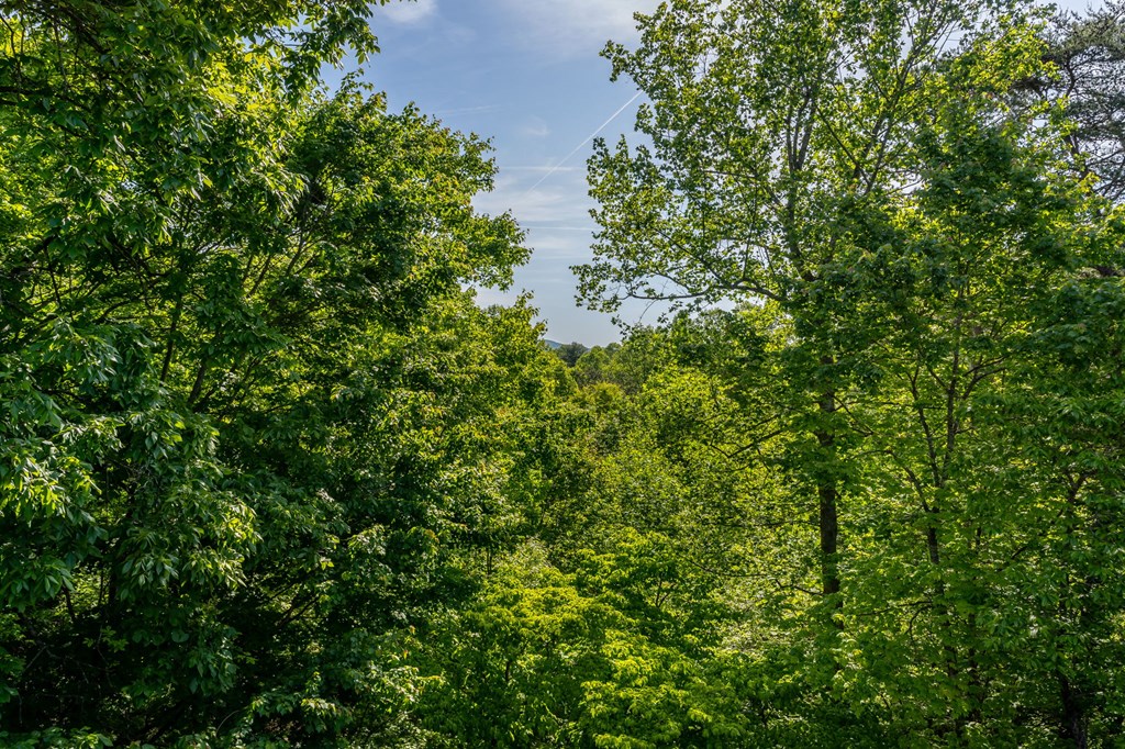 547 Echo Road Morganton, GA 30560 - Photo 37 of 54