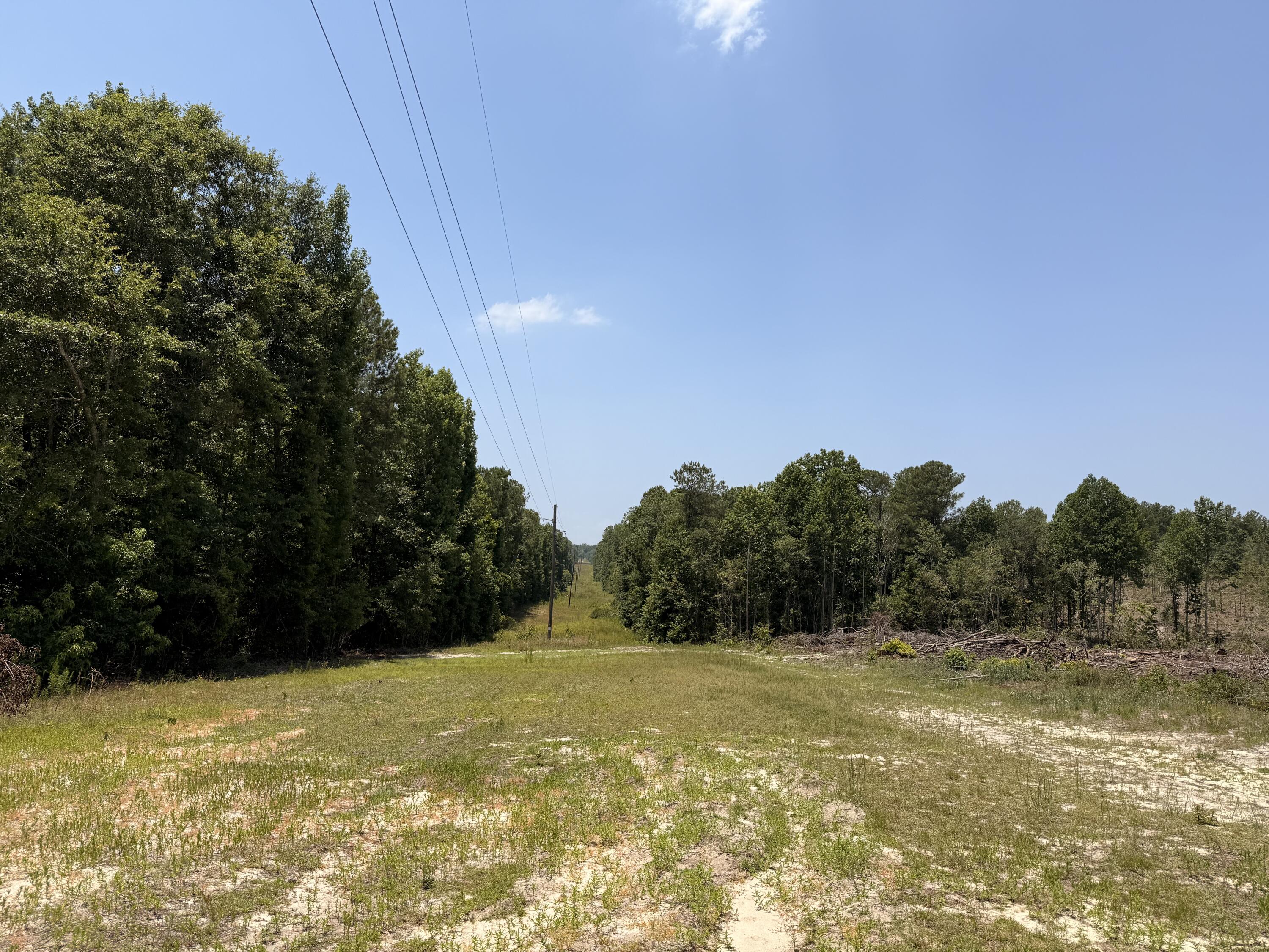 380 Windy Ridge Road Trenton, SC 29847 - Photo 6 of 34