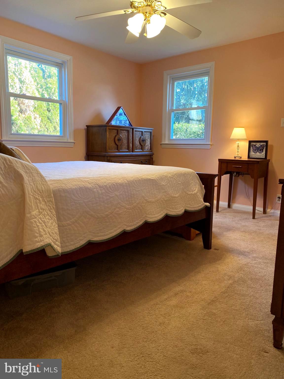 314 Lewis Road Broomall, PA 19008 - Photo 13 of 47 1st floor Master bedroom