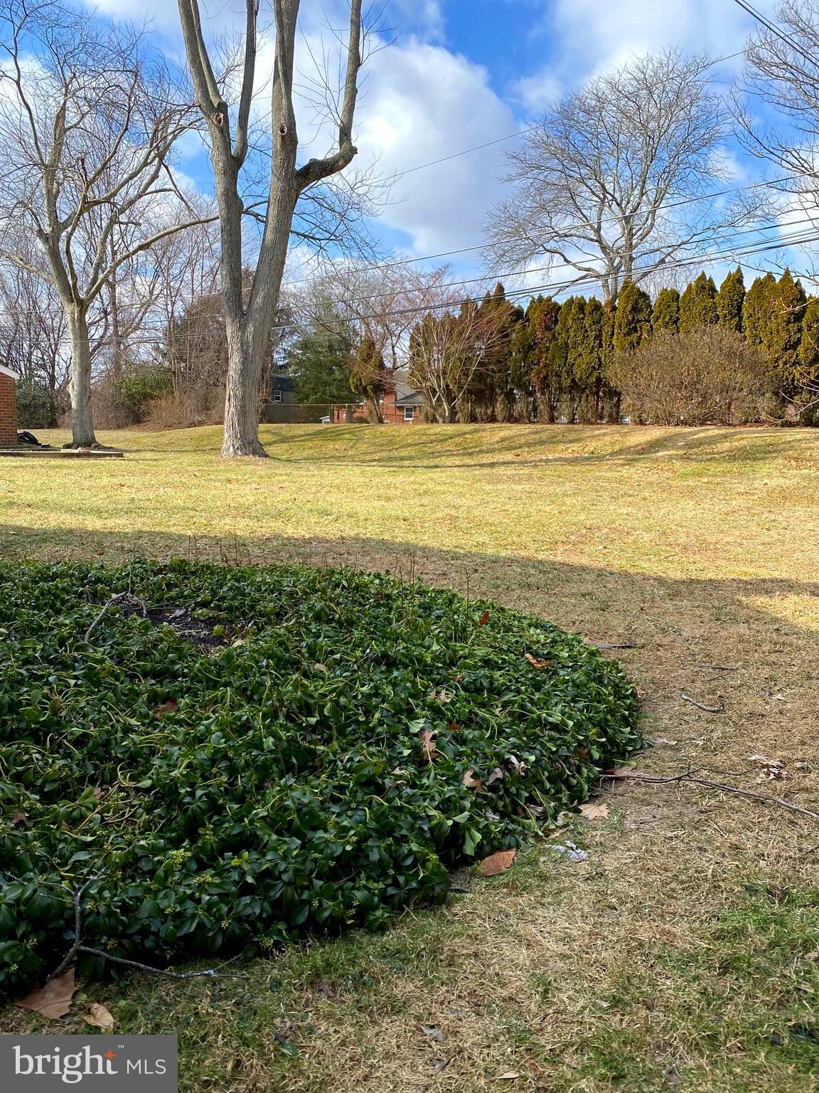 314 Lewis Road Broomall, PA 19008 - Photo 44 of 47 Huge backyard!