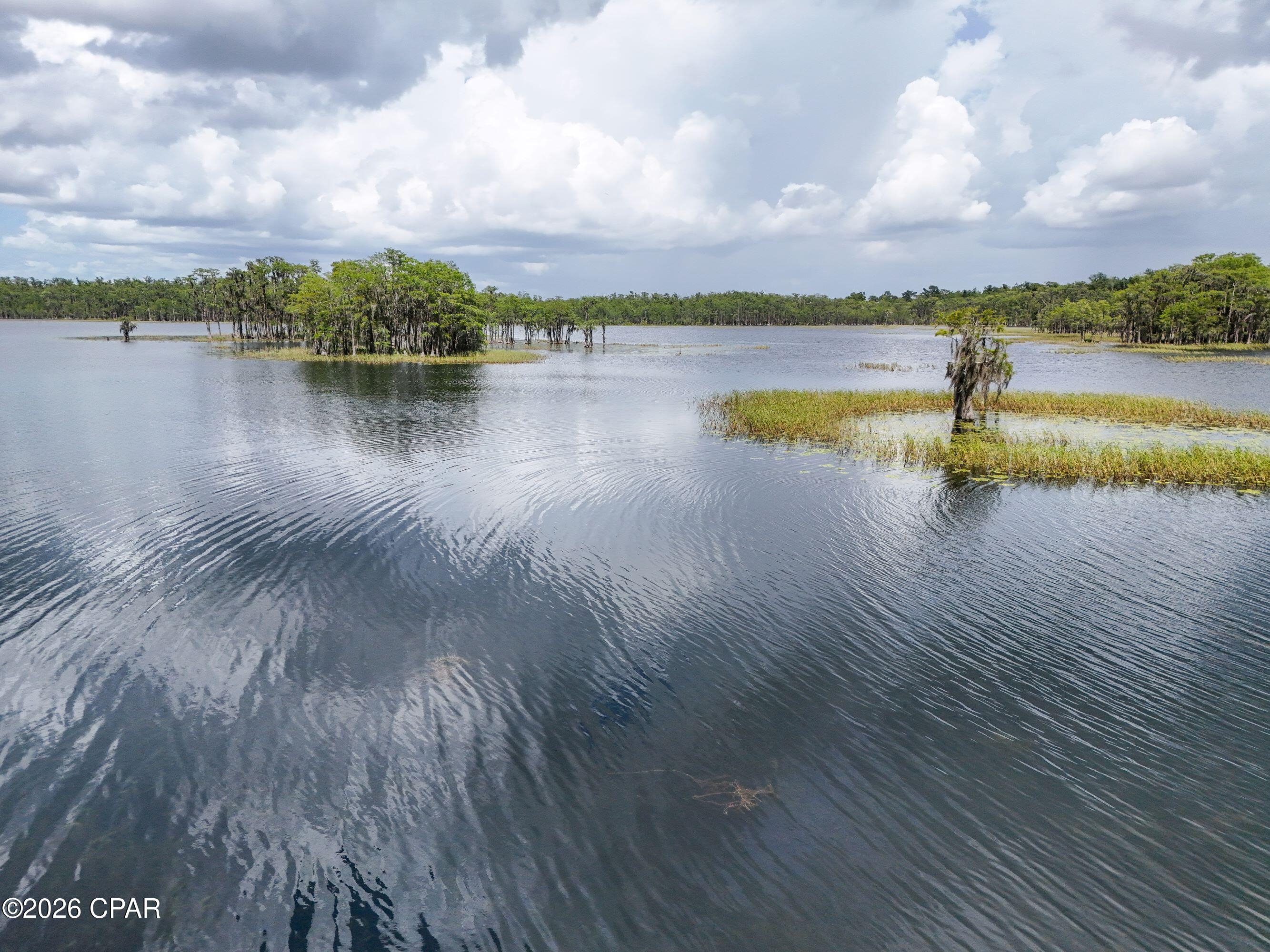 2339 Deadening Road Sunny Hills, FL 32428 - Photo 53 of 55