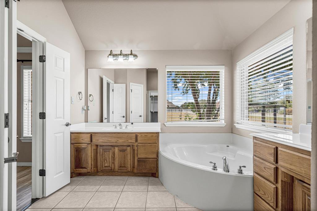 6009 Feather Wind Way Fort Worth, TX 76135 - Photo 14 of 19 a bathroom with a tub a sink a vanity and a shower