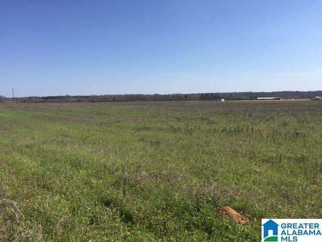 1142 County Road 53, Unit 1 Clanton, AL 35045 - Photo 3 of 3
