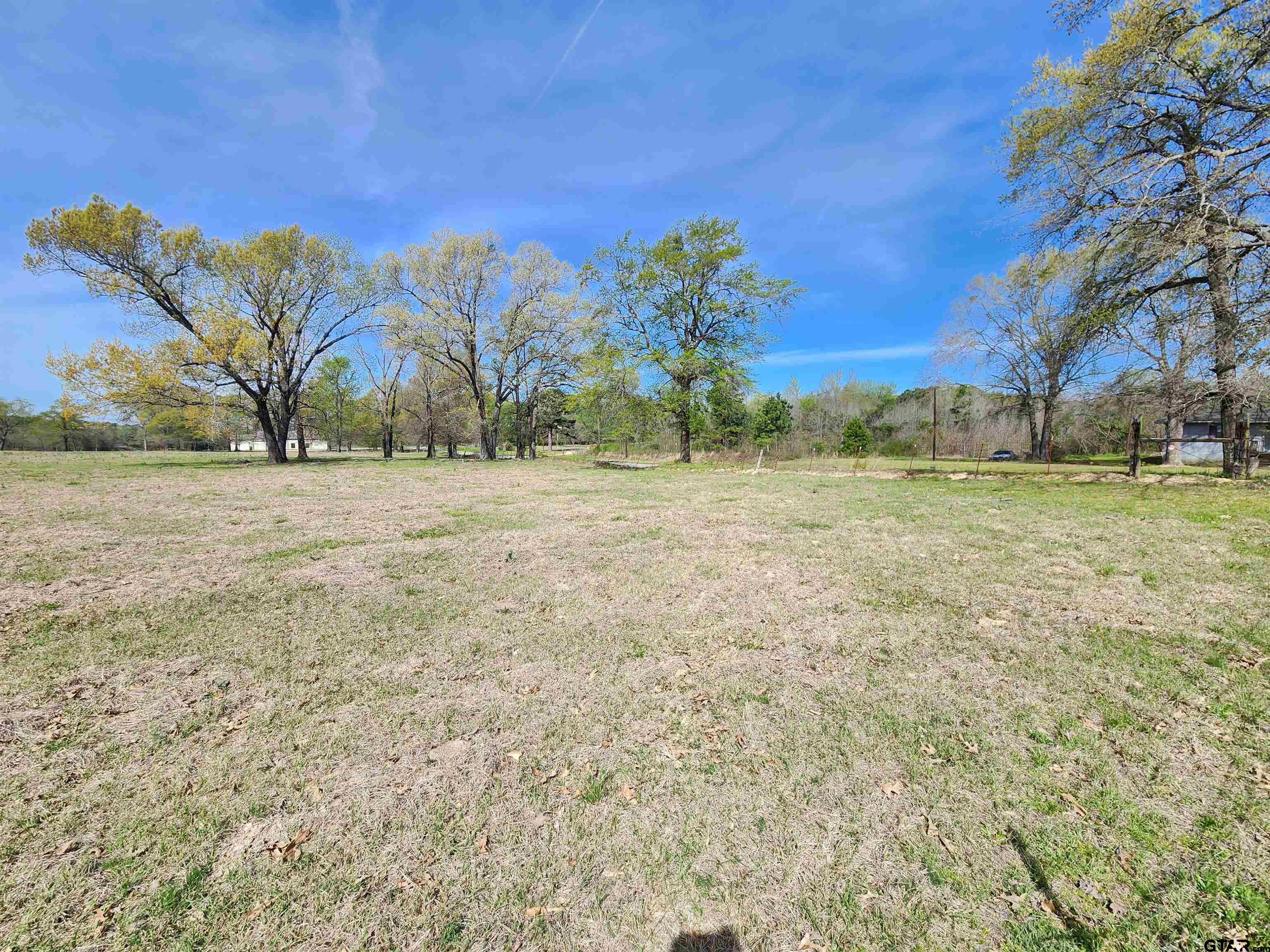 Lot 19 Hemlock Road Gilmer, TX 75644 - Photo 3 of 6 Gallery Image 3