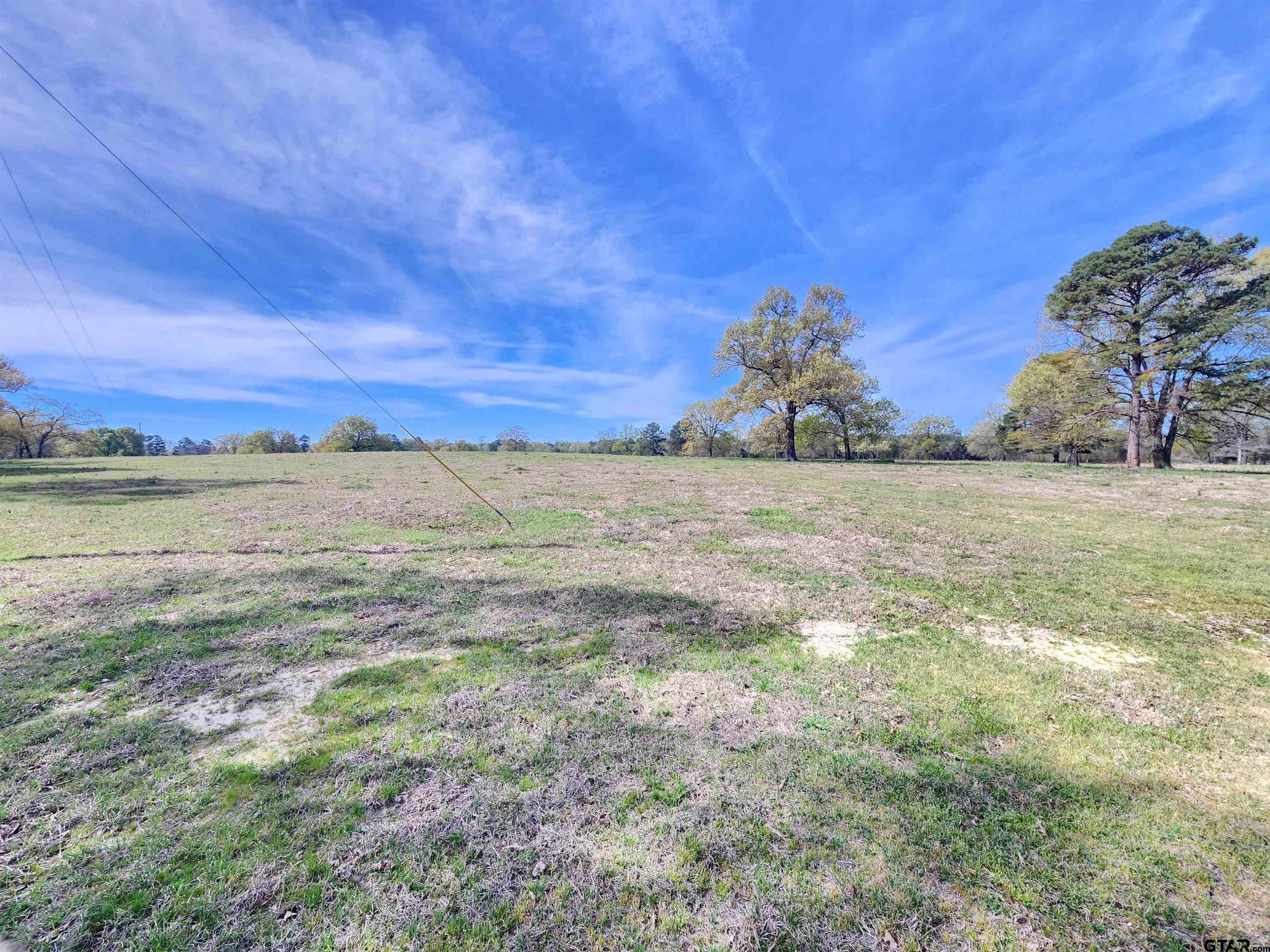 Lot 19 Hemlock Road Gilmer, TX 75644 - Photo 5 of 6 Gallery Image 5