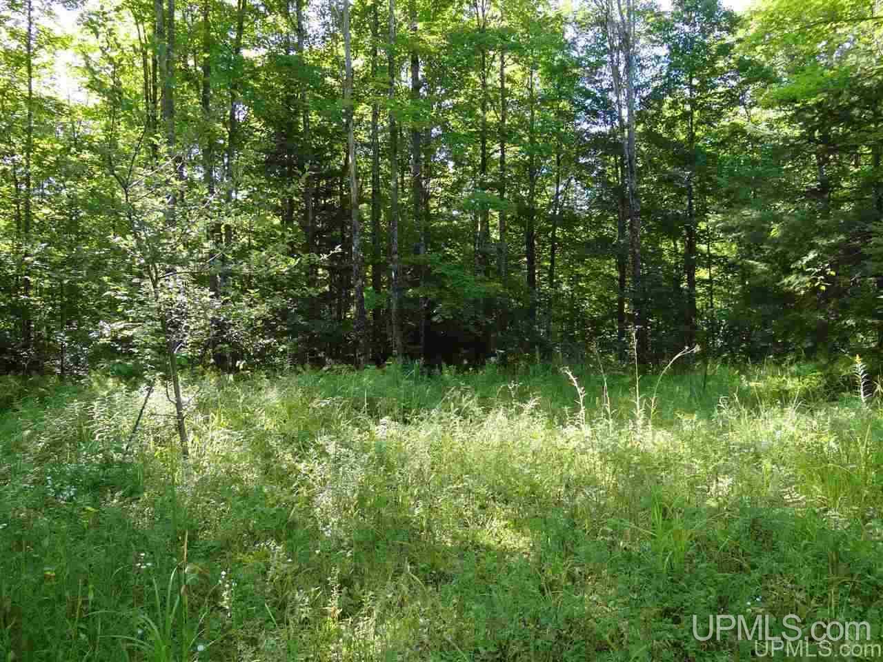 21660 Newberry Road Pelkie, MI 49958 - Photo 35 of 40