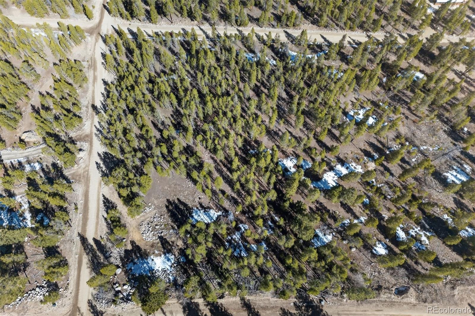 312 Mt Massive Road Twin Lakes, CO 81251 - Photo 16 of 30 a view of a tree