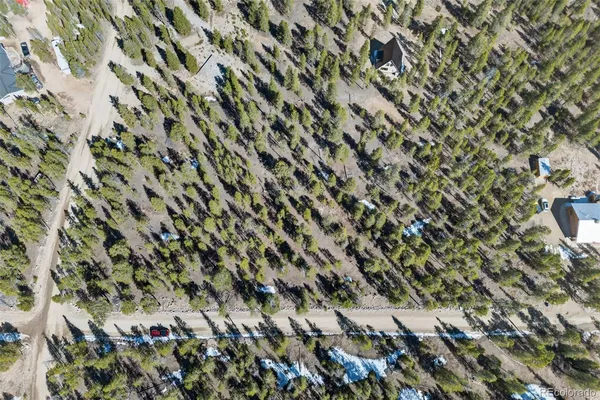 a view of a tree