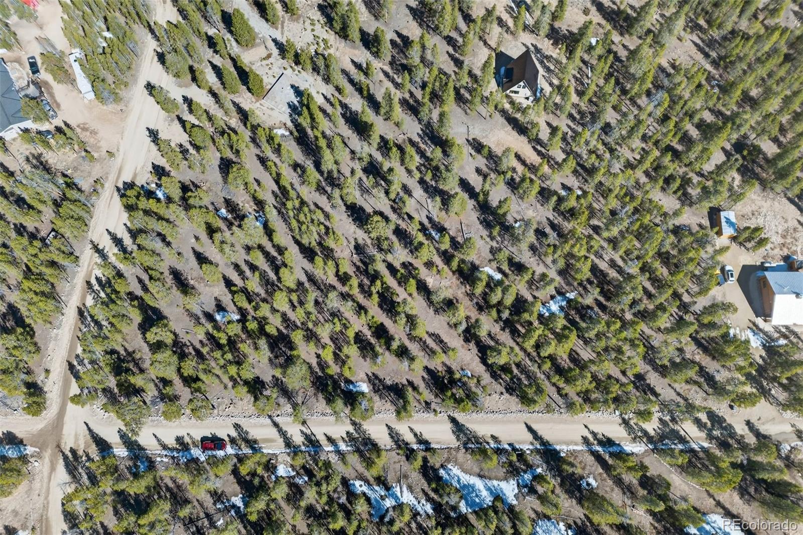 312 Mt Massive Road Twin Lakes, CO 81251 - Photo 17 of 30 a view of a tree