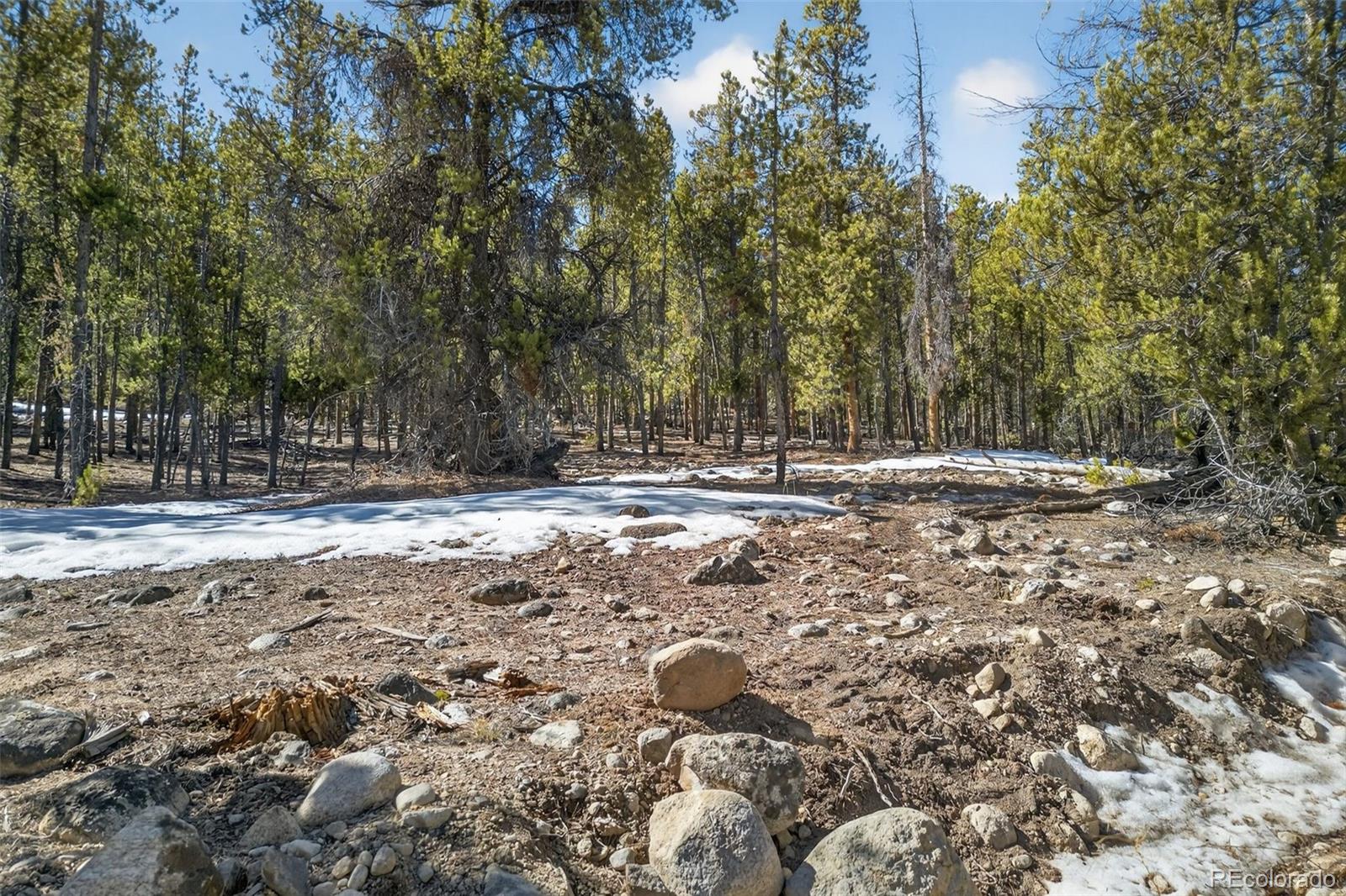 312 Mt Massive Road Twin Lakes, CO 81251 - Photo 18 of 30 a view of outdoor space with trees
