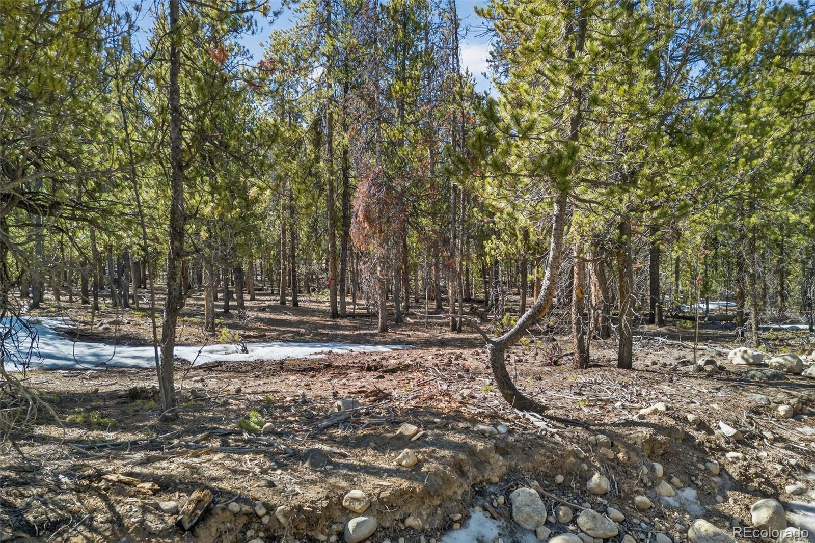 312 Mt Massive Road Twin Lakes, CO 81251 - Photo 19 of 30 a view of outdoor space with trees