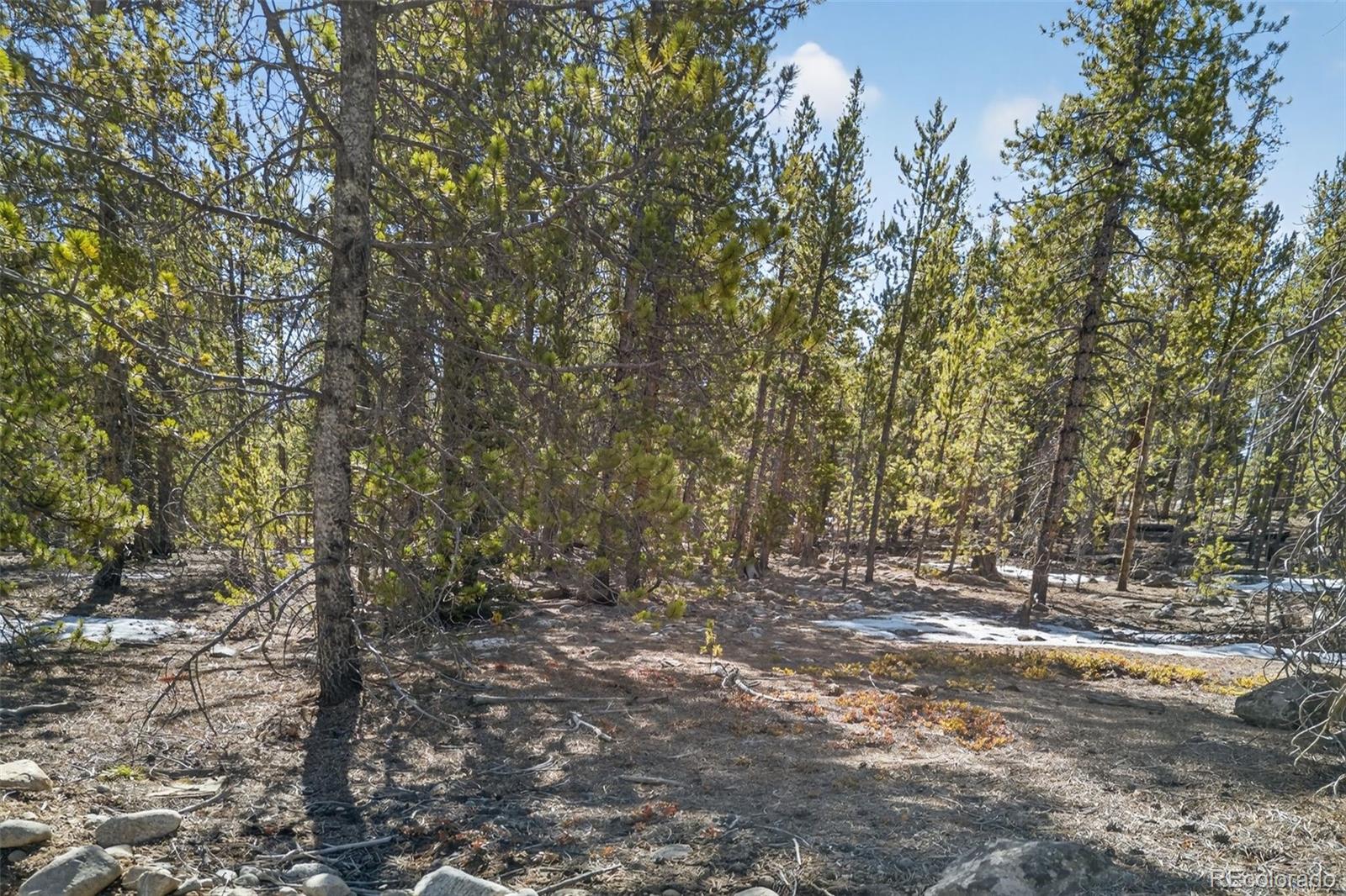 312 Mt Massive Road Twin Lakes, CO 81251 - Photo 20 of 30 a view of outdoor space and tree