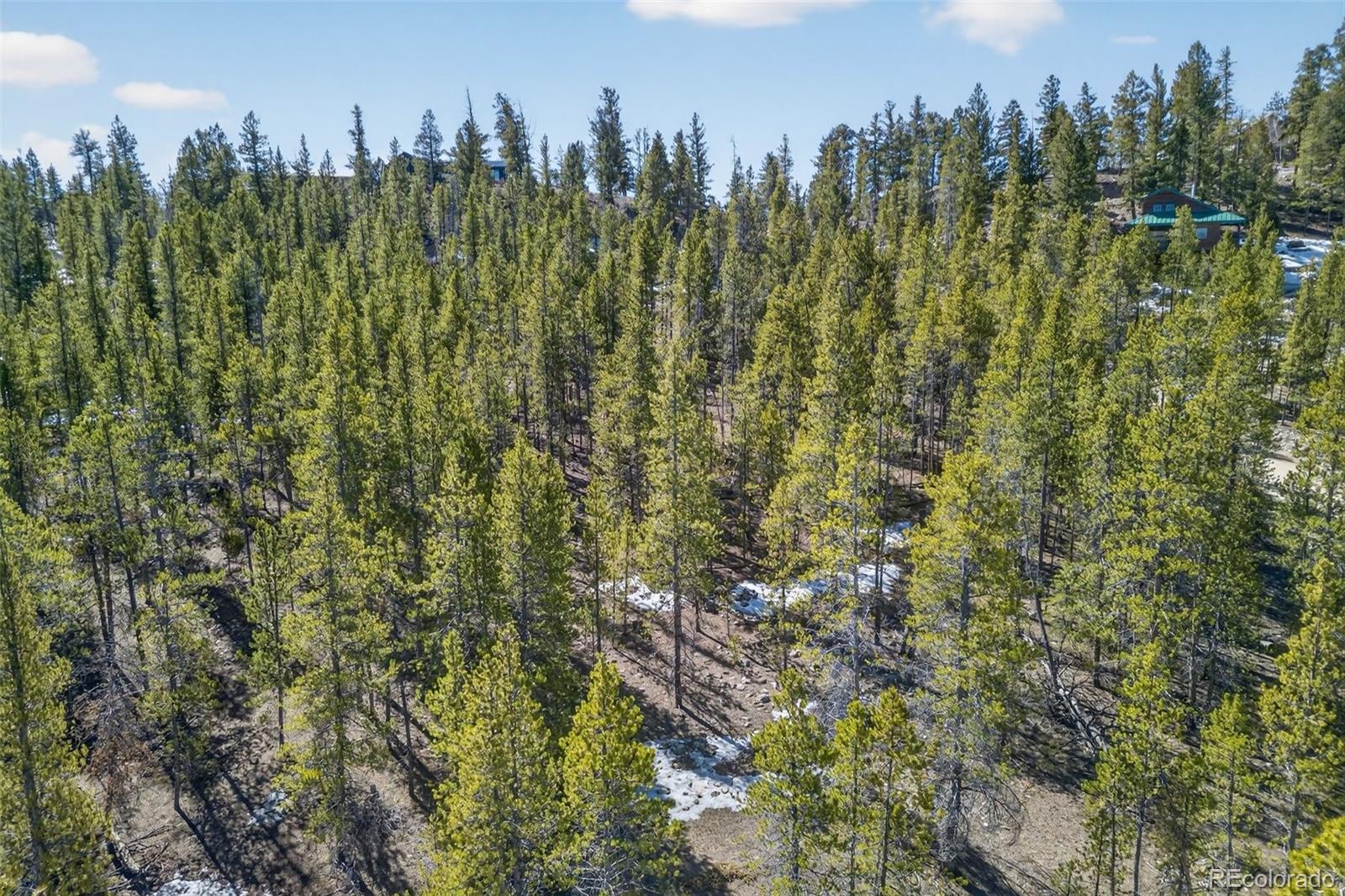 312 Mt Massive Road Twin Lakes, CO 81251 - Photo 21 of 30 a view of a town with trees in the background