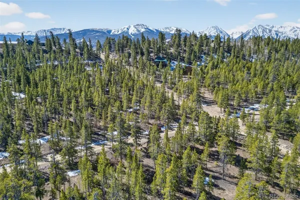 a view of a lots of trees