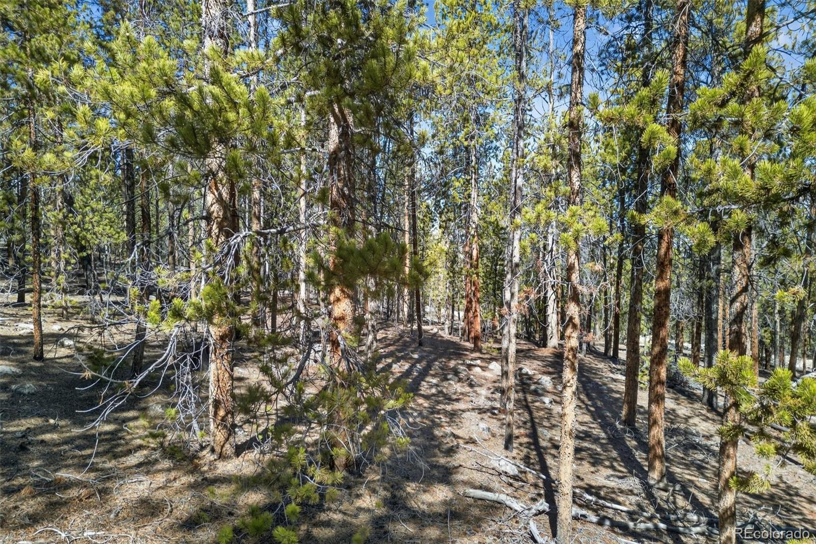 312 Mt Massive Road Twin Lakes, CO 81251 - Photo 25 of 30 a view of yard