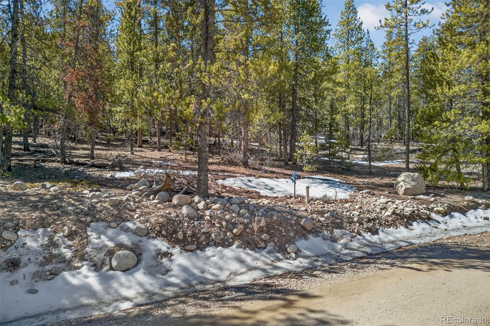 312 Mt Massive Road Twin Lakes, CO 81251 - Photo 30 of 30 a view of a forest with trees