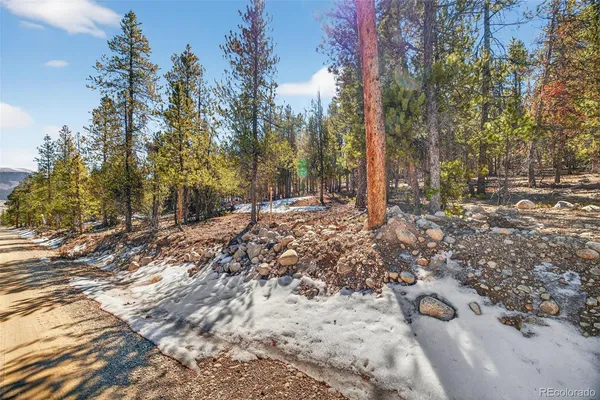 a view of dirt yard with trees